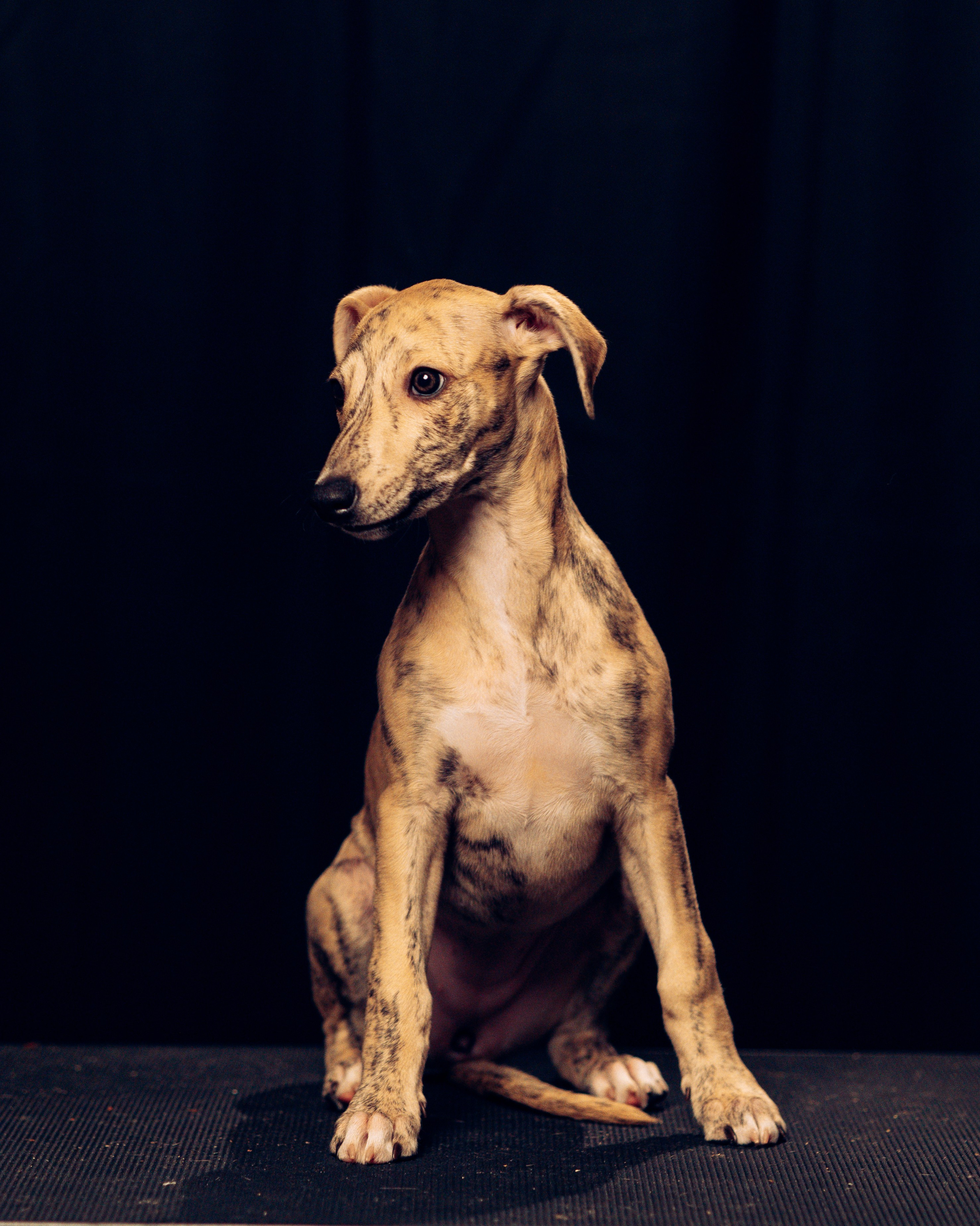 Детки-конфетки. Анна Самохина. Фотограф. Москва