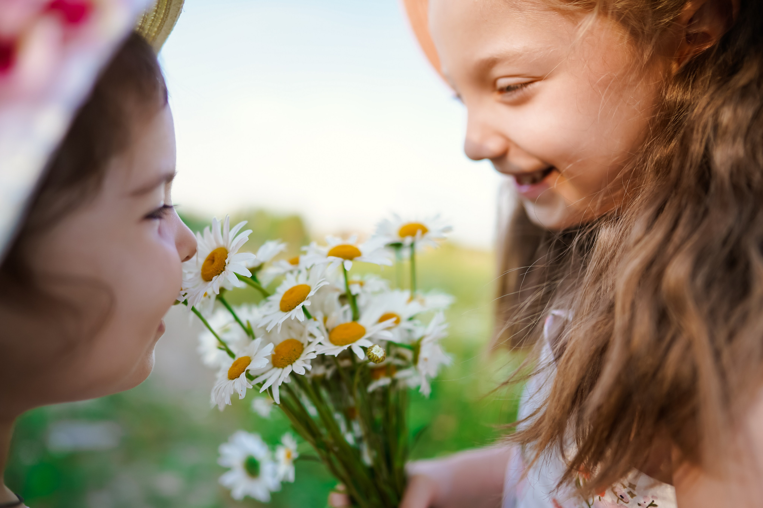 Аня и Даша в ромашках. Семейный и детский фотограф в Москве (Тинао) Галкина Алевтина