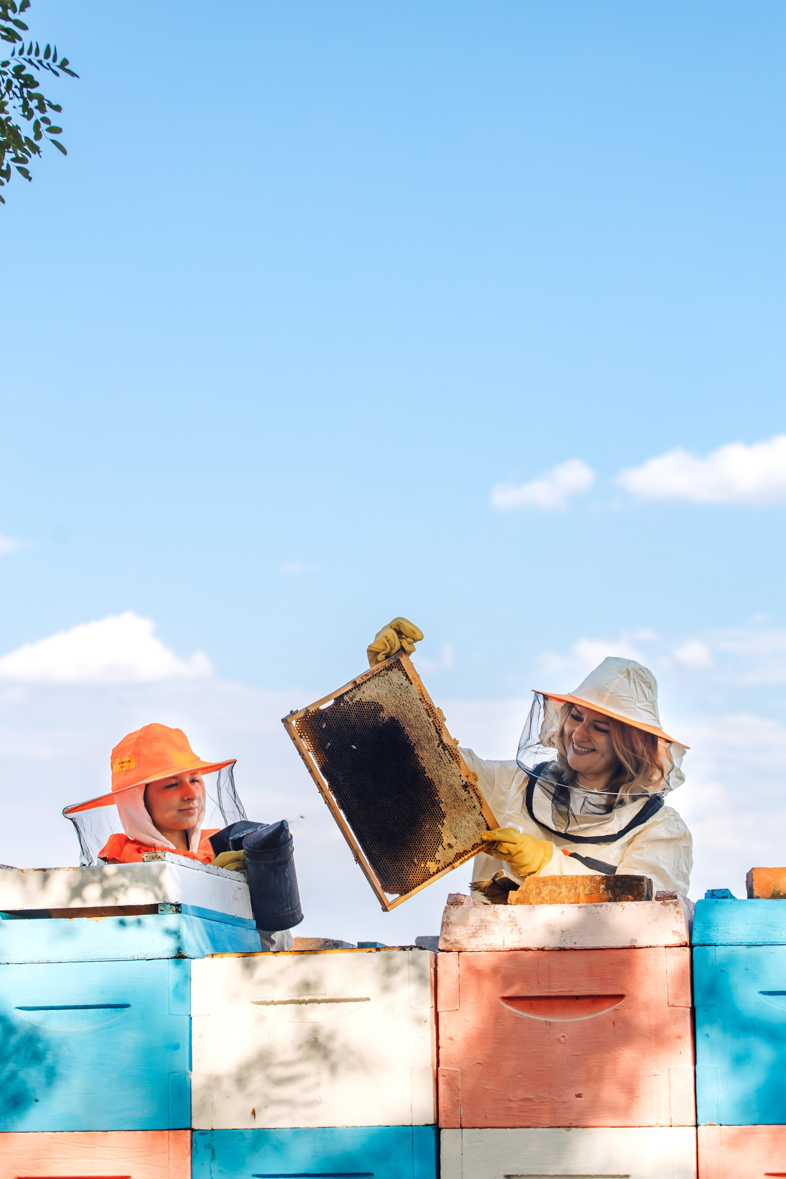 Контент фотосессия для частной пасеки. Свадебный и семейный фотограф в Краснодарском крае Мария Данилкина