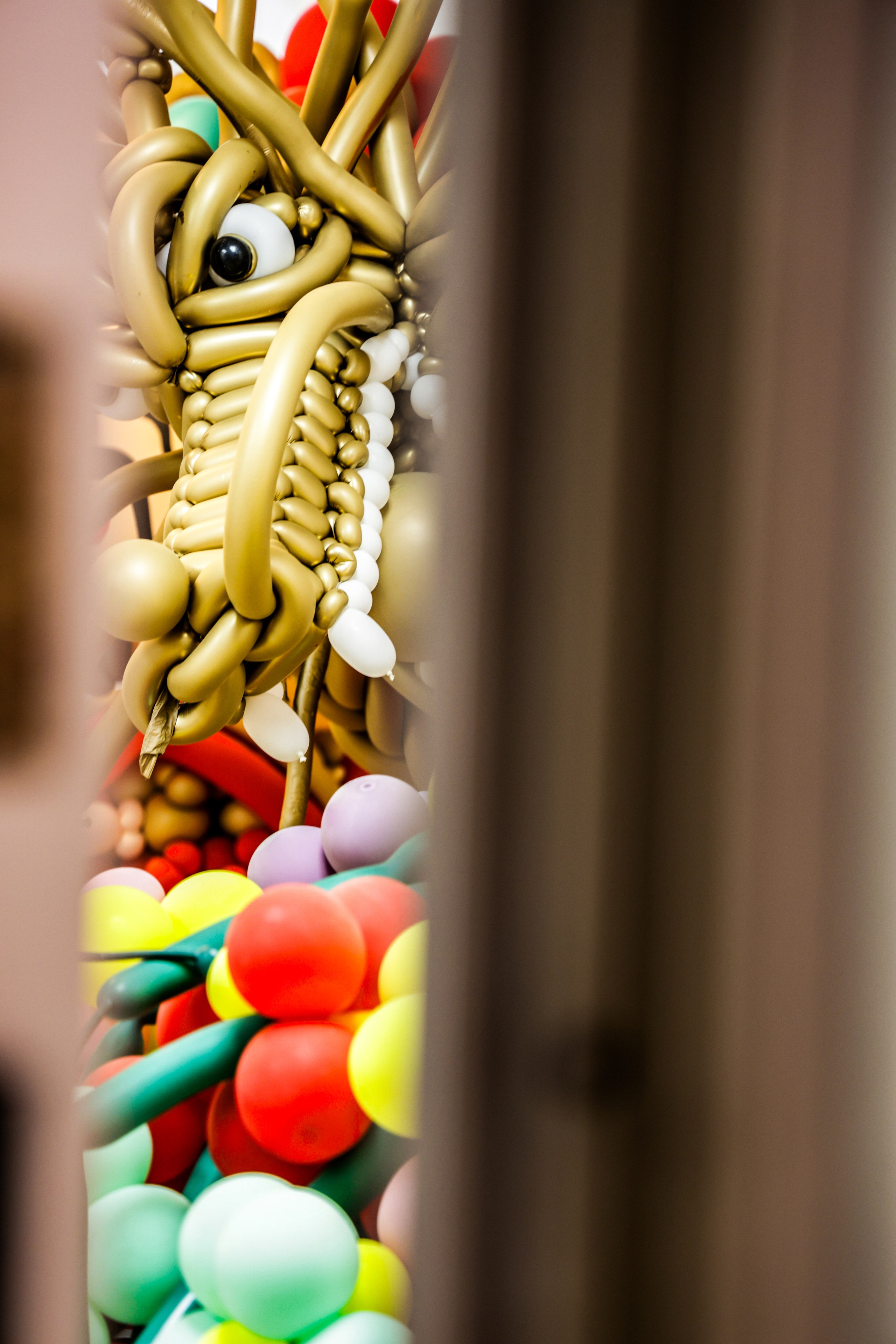 Lunar New Year 2026. Portrait photographer based in Toronto — Blinova Mariia