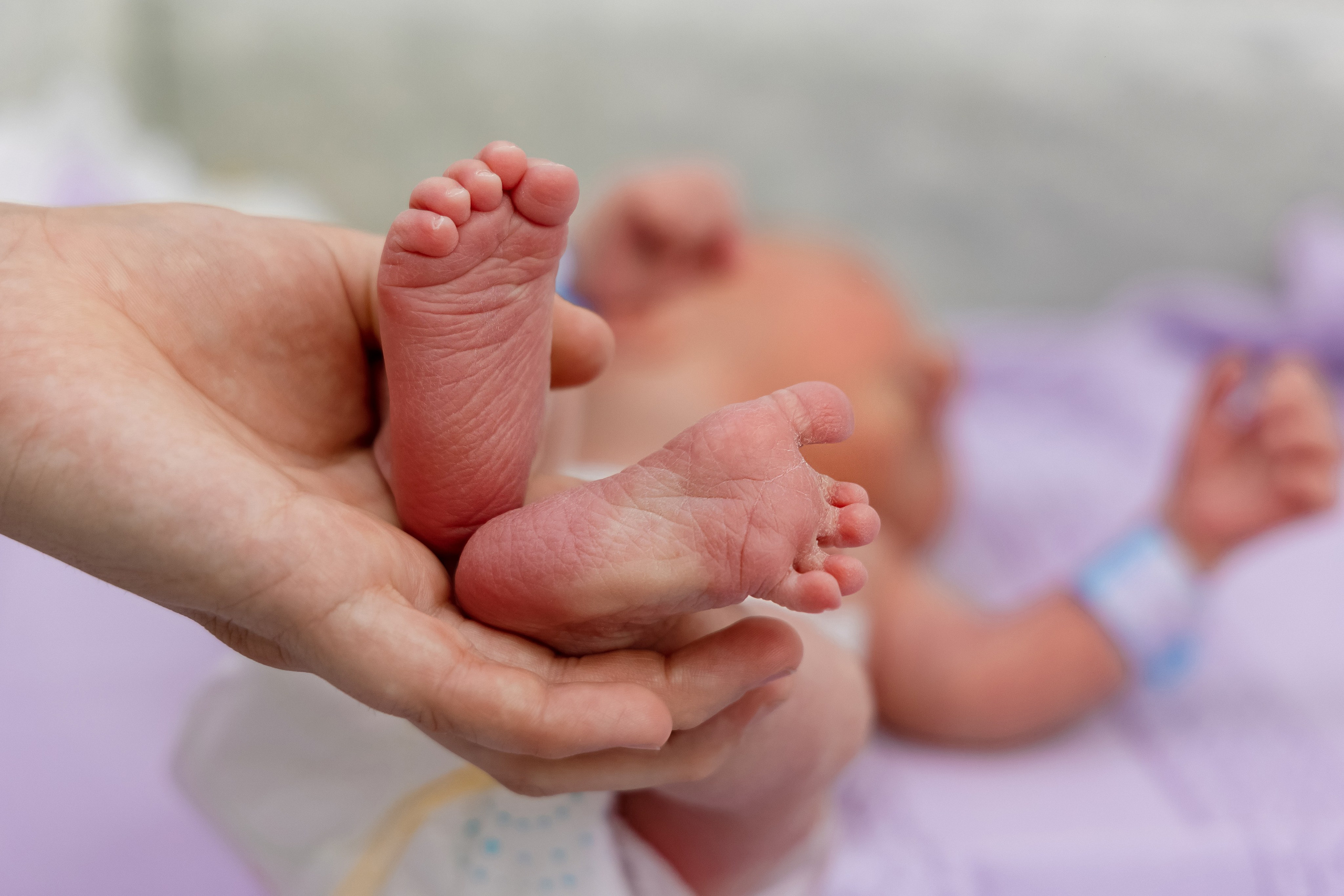 Выписки из роддома. Свадебный и семейный фотограф в Каспийске Алёна Нурмагомедова