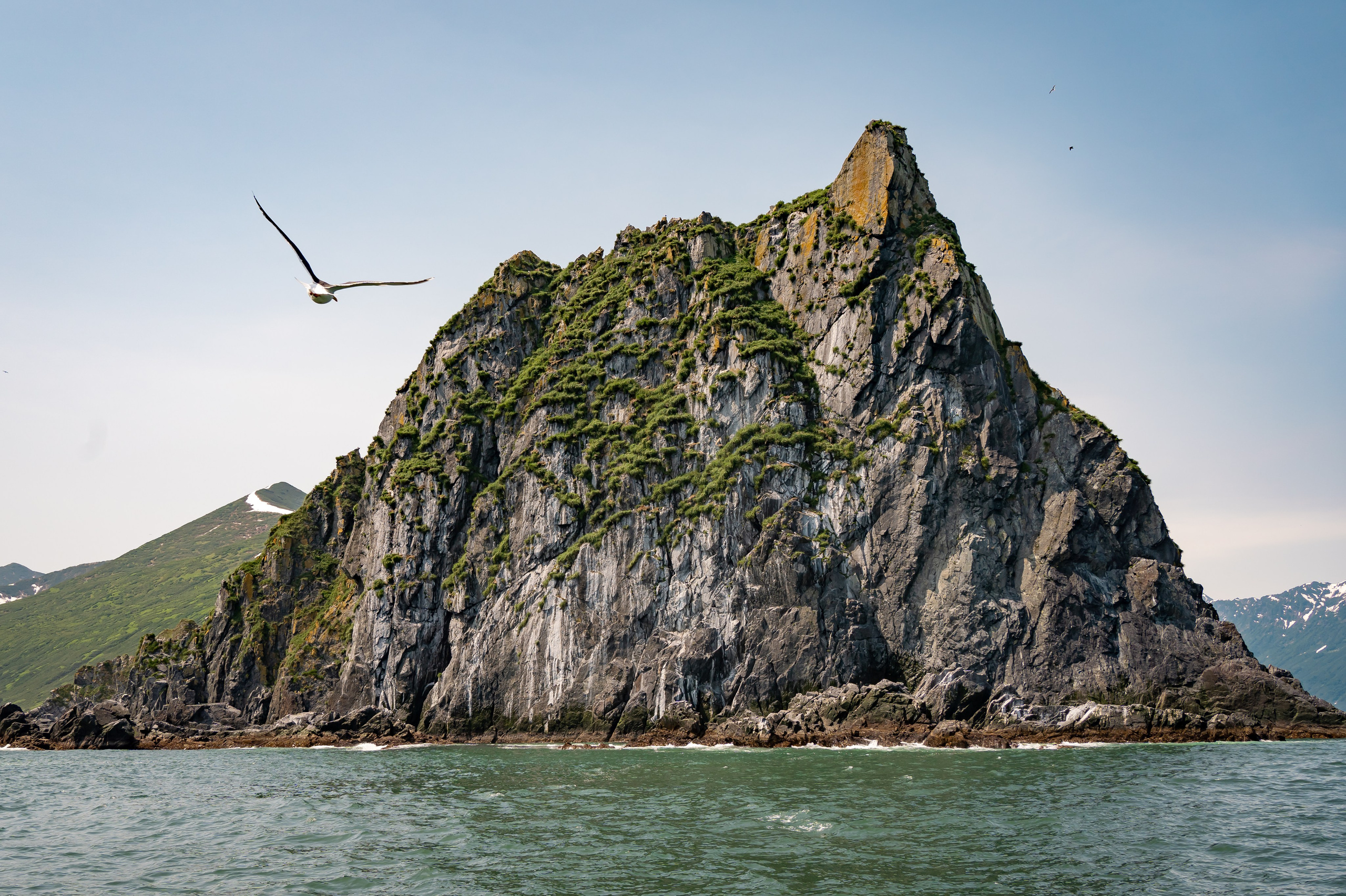 Камчатка. Семейный фотограф Варвара Сорока в городе Москве