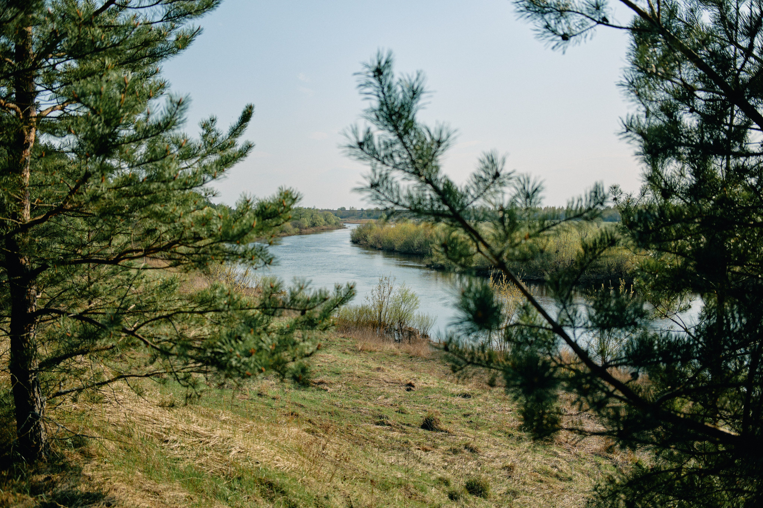 Бутик-отель Поле летом. Профессиональный Фотограф во Владимире, в Москве и в Суздале — Полина Романычева