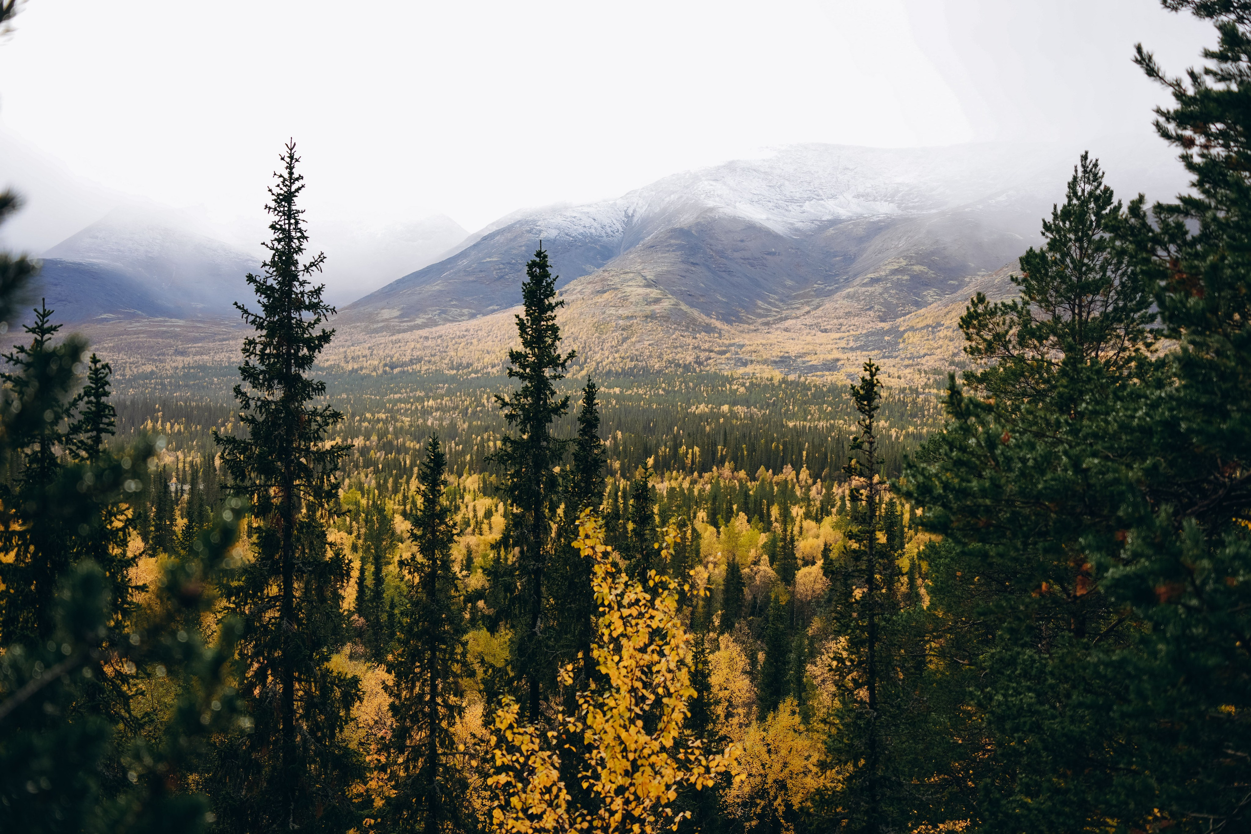 СЕВЕР. Event фотограф Степанова Александра