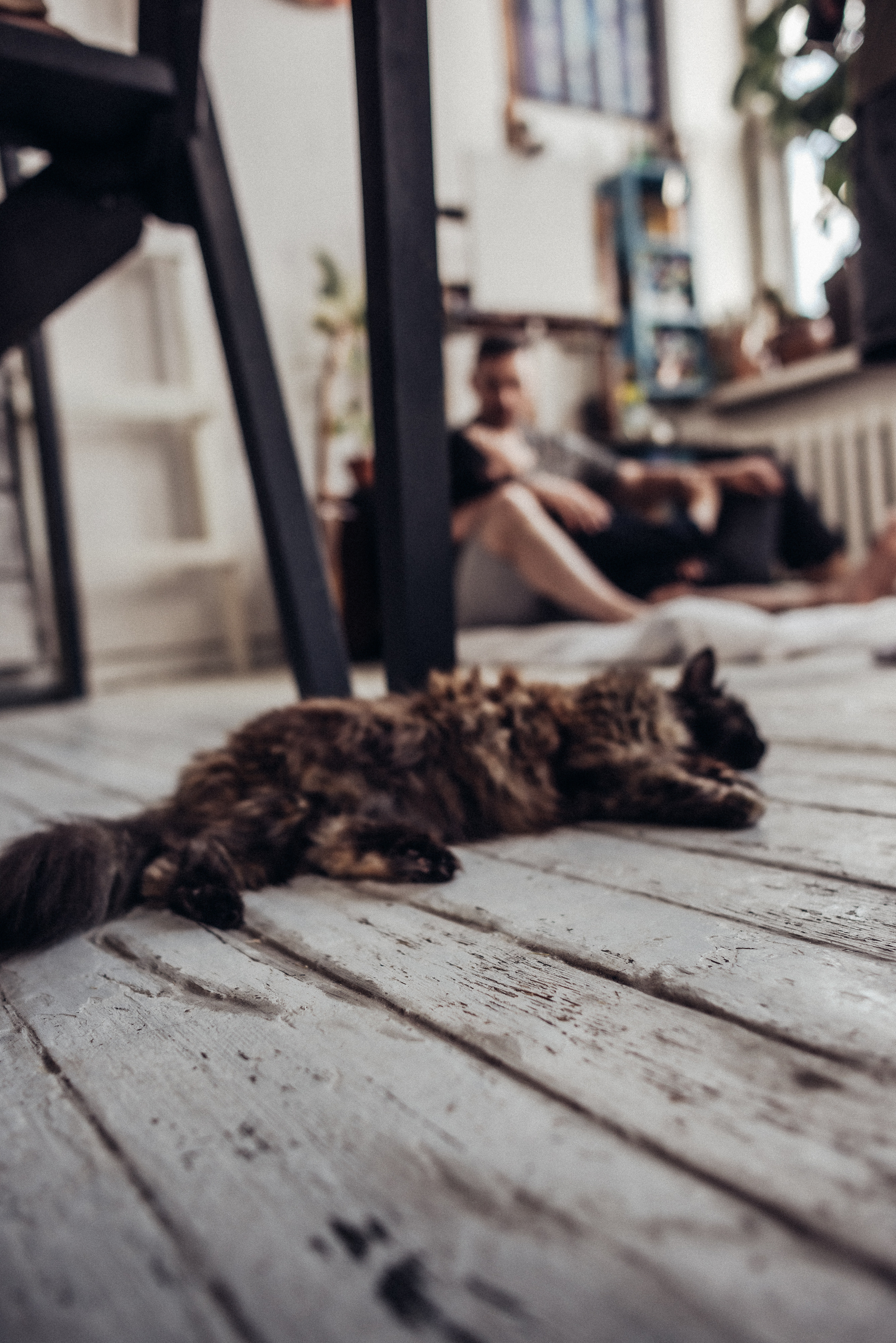 Love Story (Яна и Кирилл). Портретный фотограф из Омска Инна Пономарева