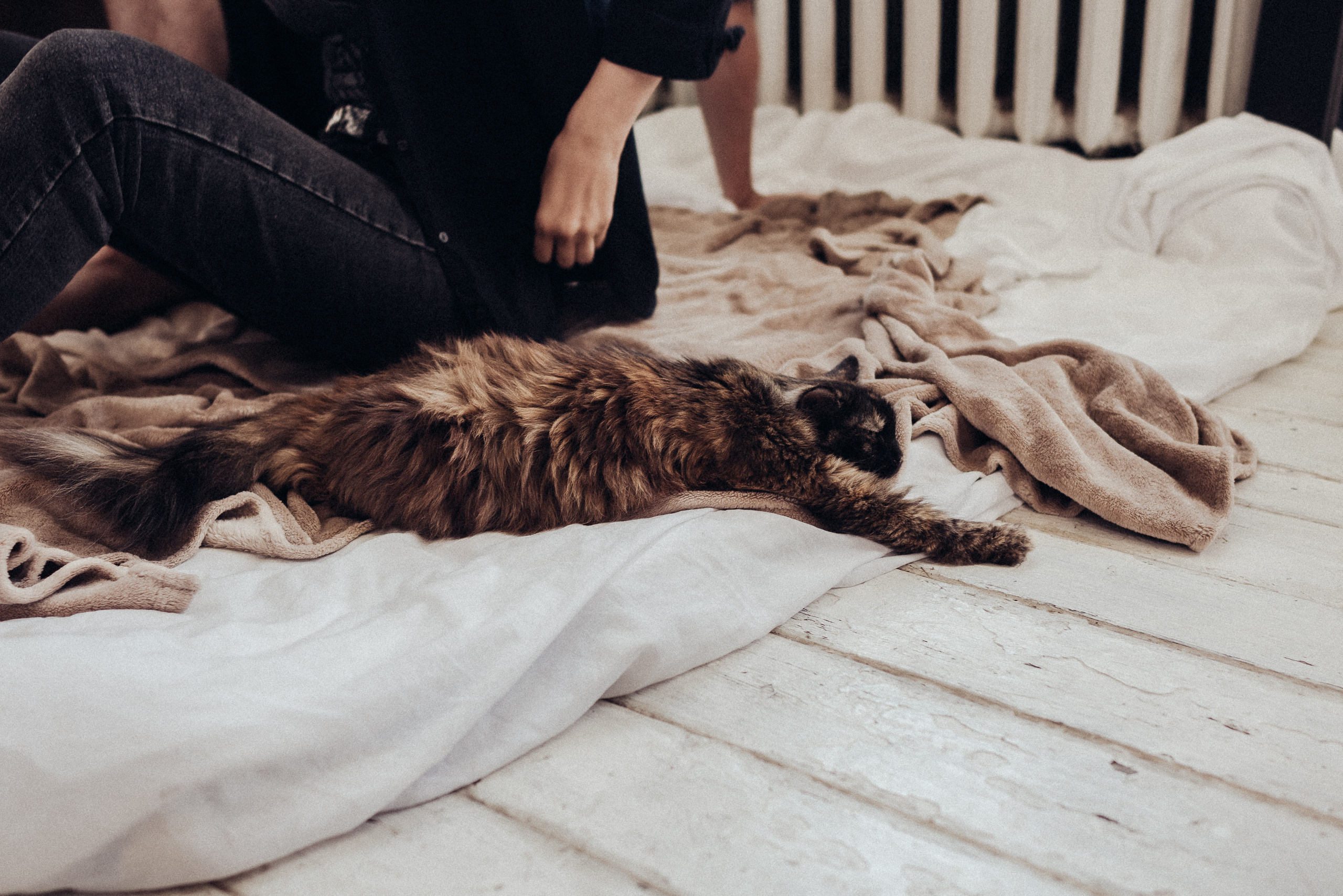 Love Story (Яна и Кирилл). Портретный фотограф из Омска Инна Пономарева