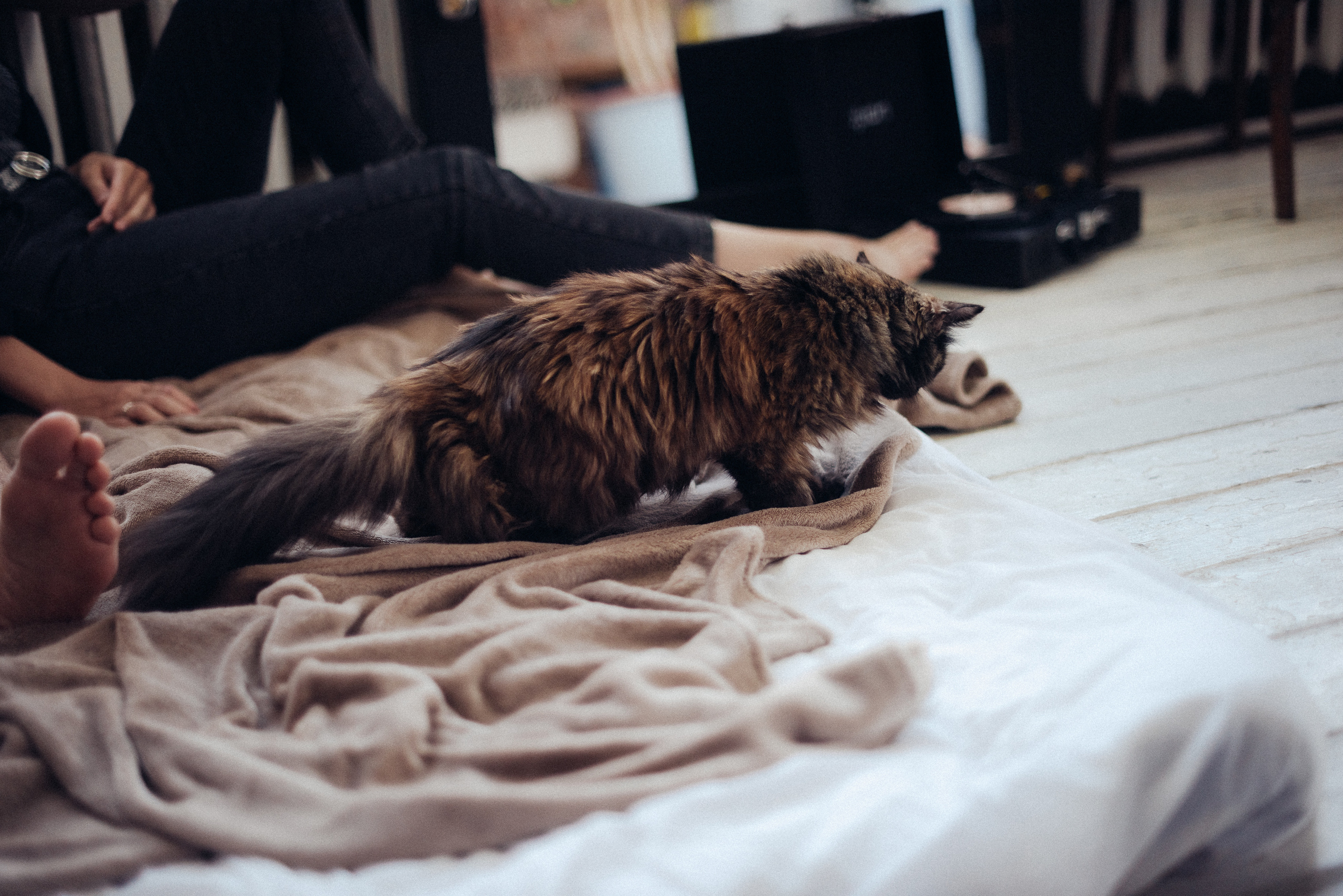 Love Story (Яна и Кирилл). Портретный фотограф из Омска Инна Пономарева