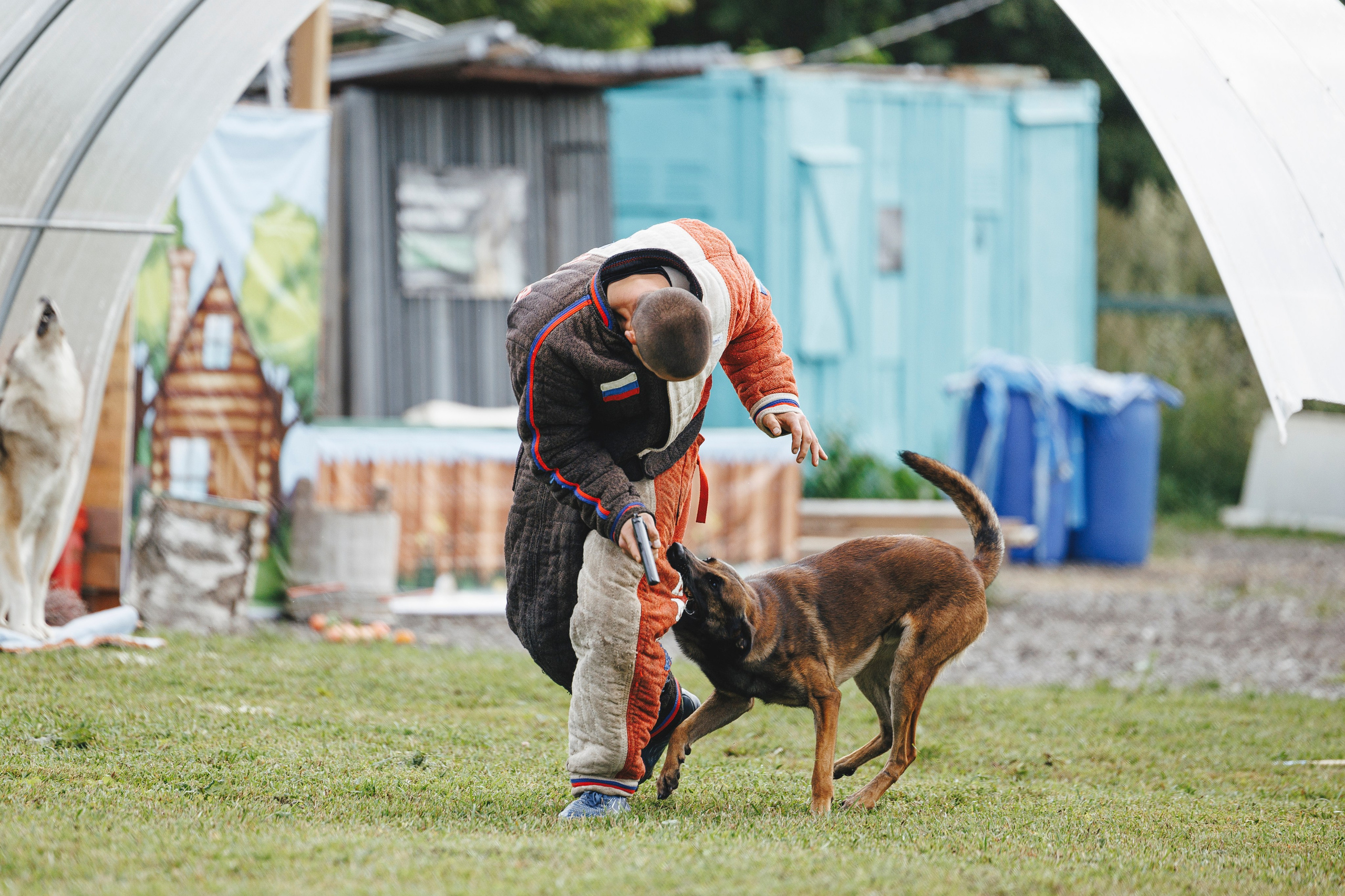 08.08.25-10.08.25 ЧР по мондьорингу г. Вологда. Фотограф-анималист Анна Маринич