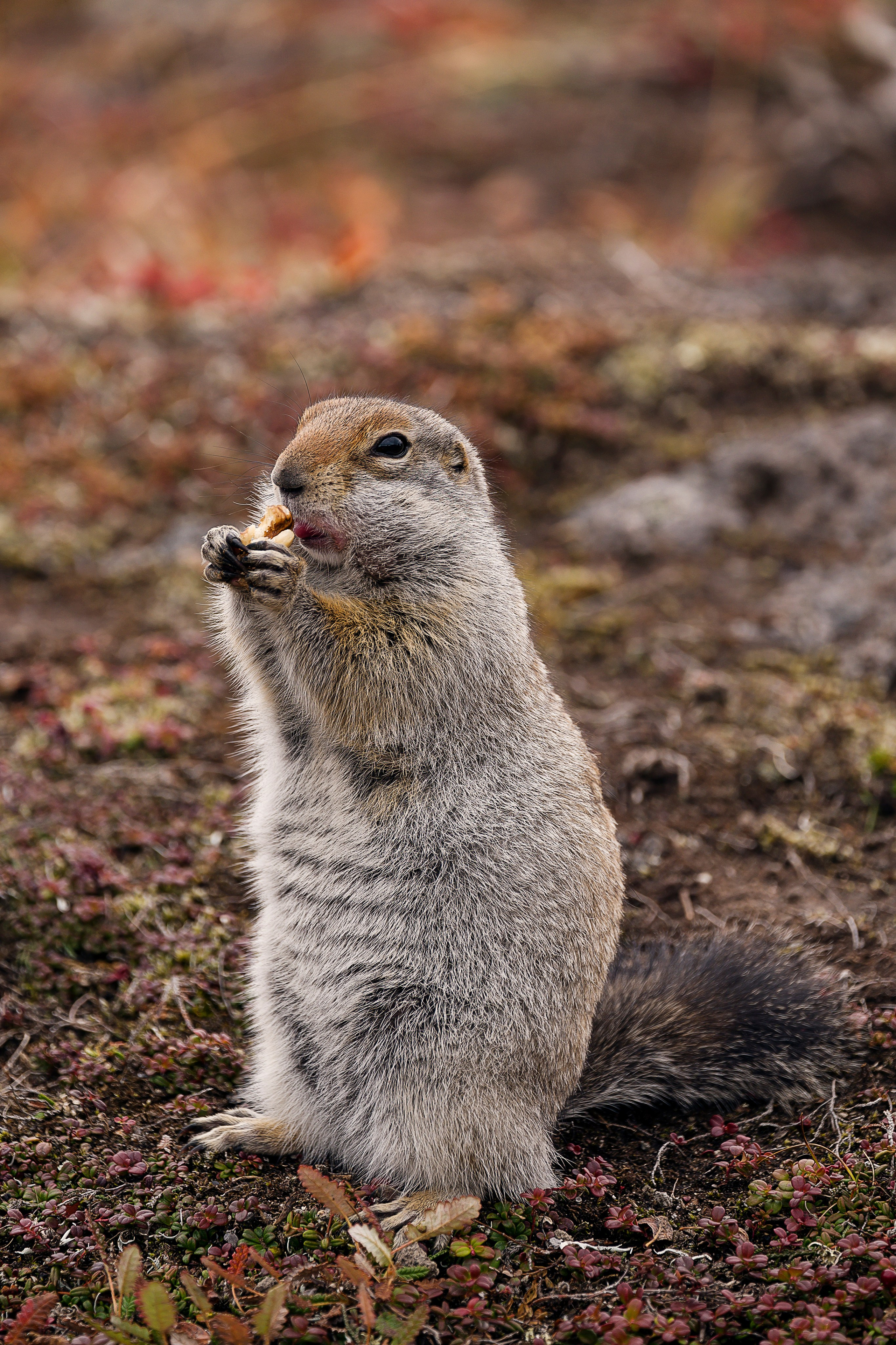 Камчатка. Портретный фотограф в Челябинске Катерина Руди