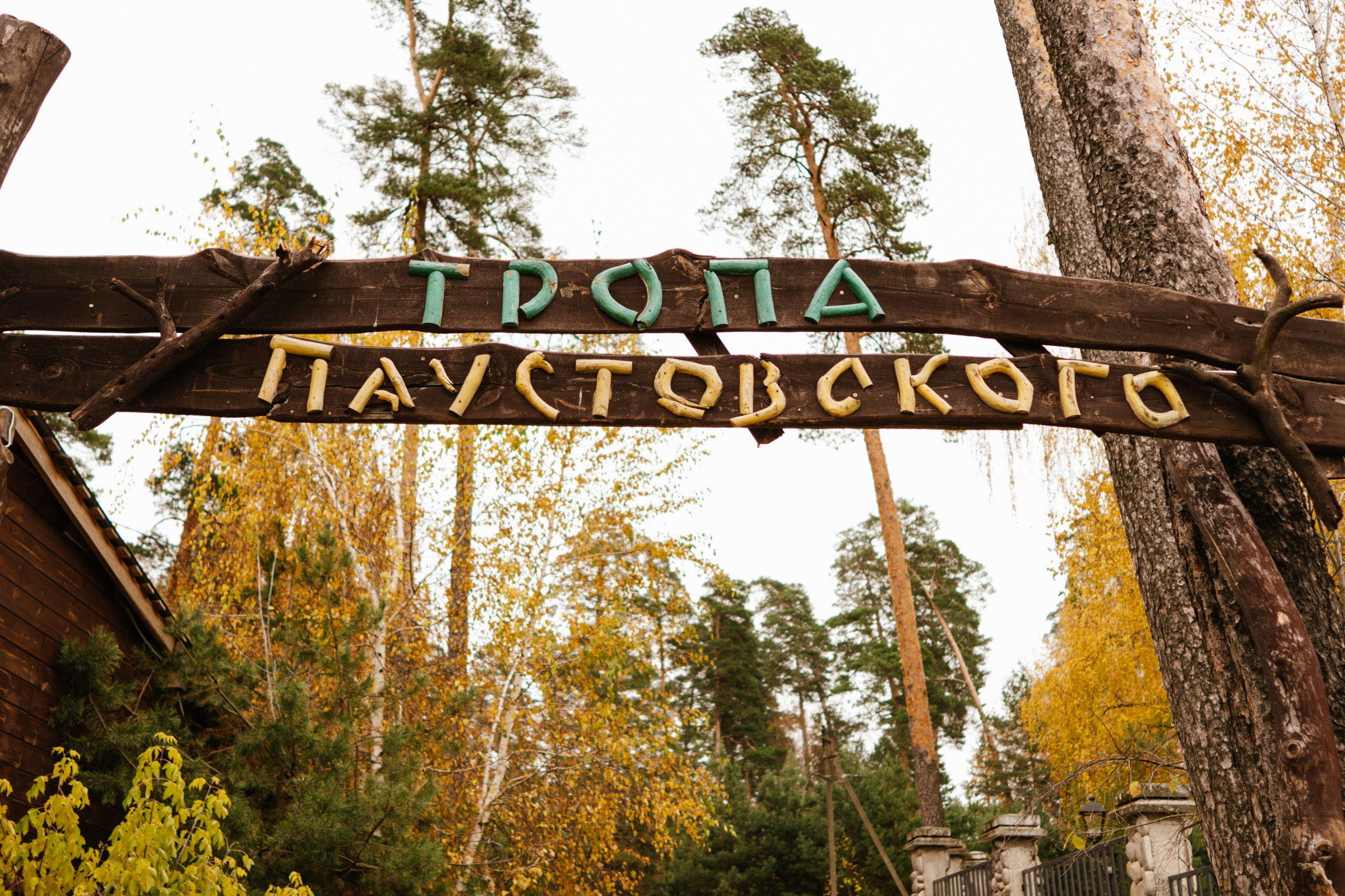 ПРИРОДА. ФОТОГРАФ ЛЕНА ЛОНЬКИНА