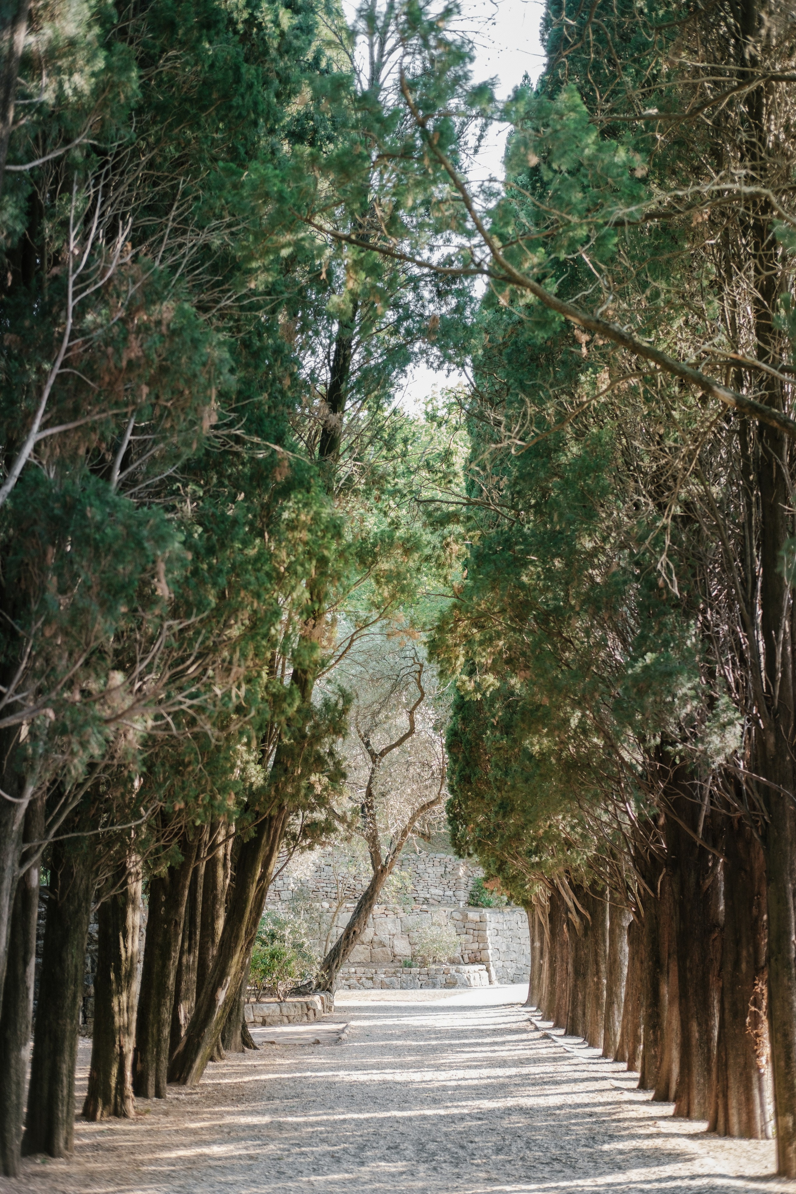 Budva. Свадебный Видеограф Фотограф в Сочи