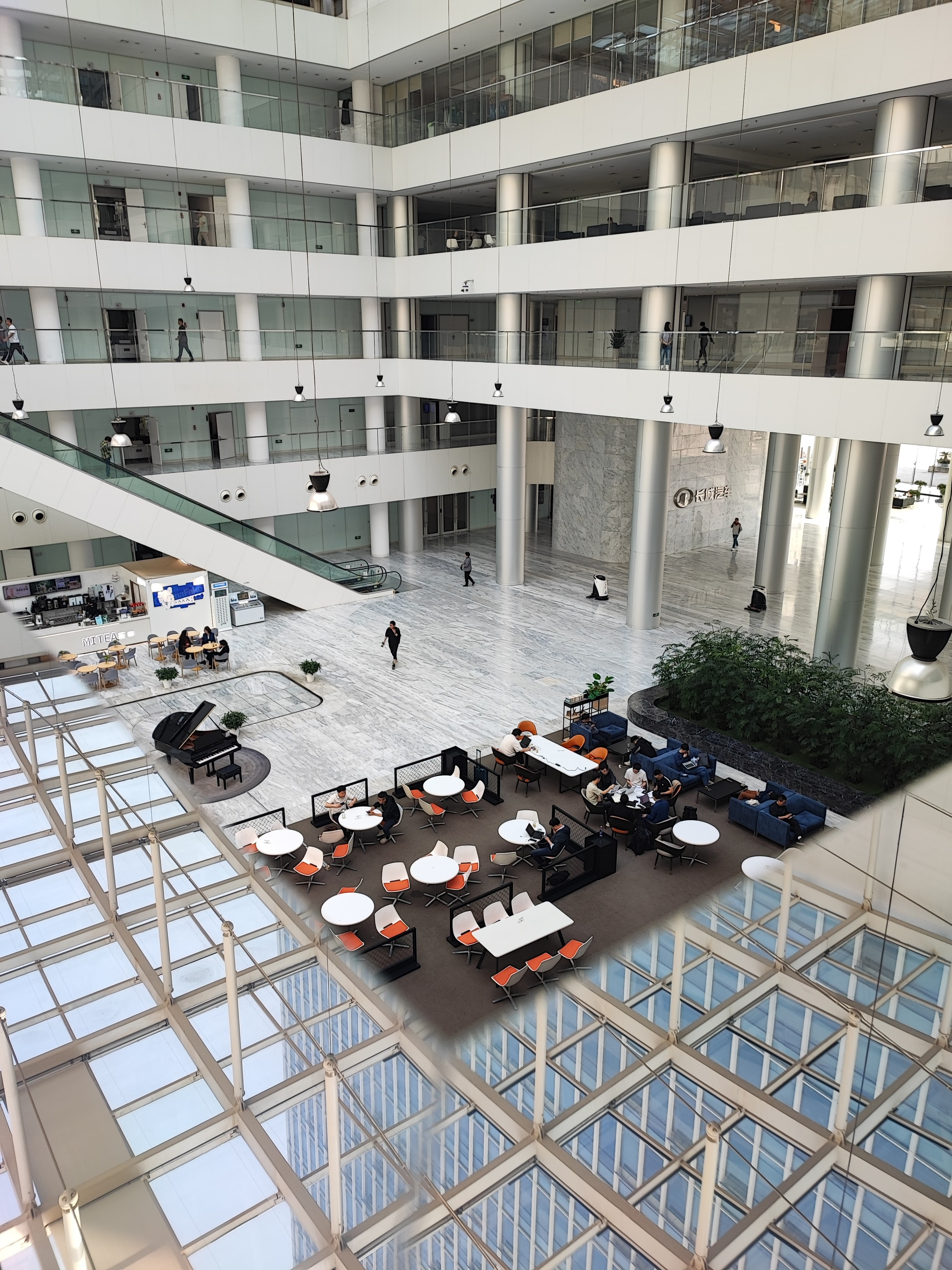 Намобилкус китайский. Репортажный фотограф Алексей Пирязев