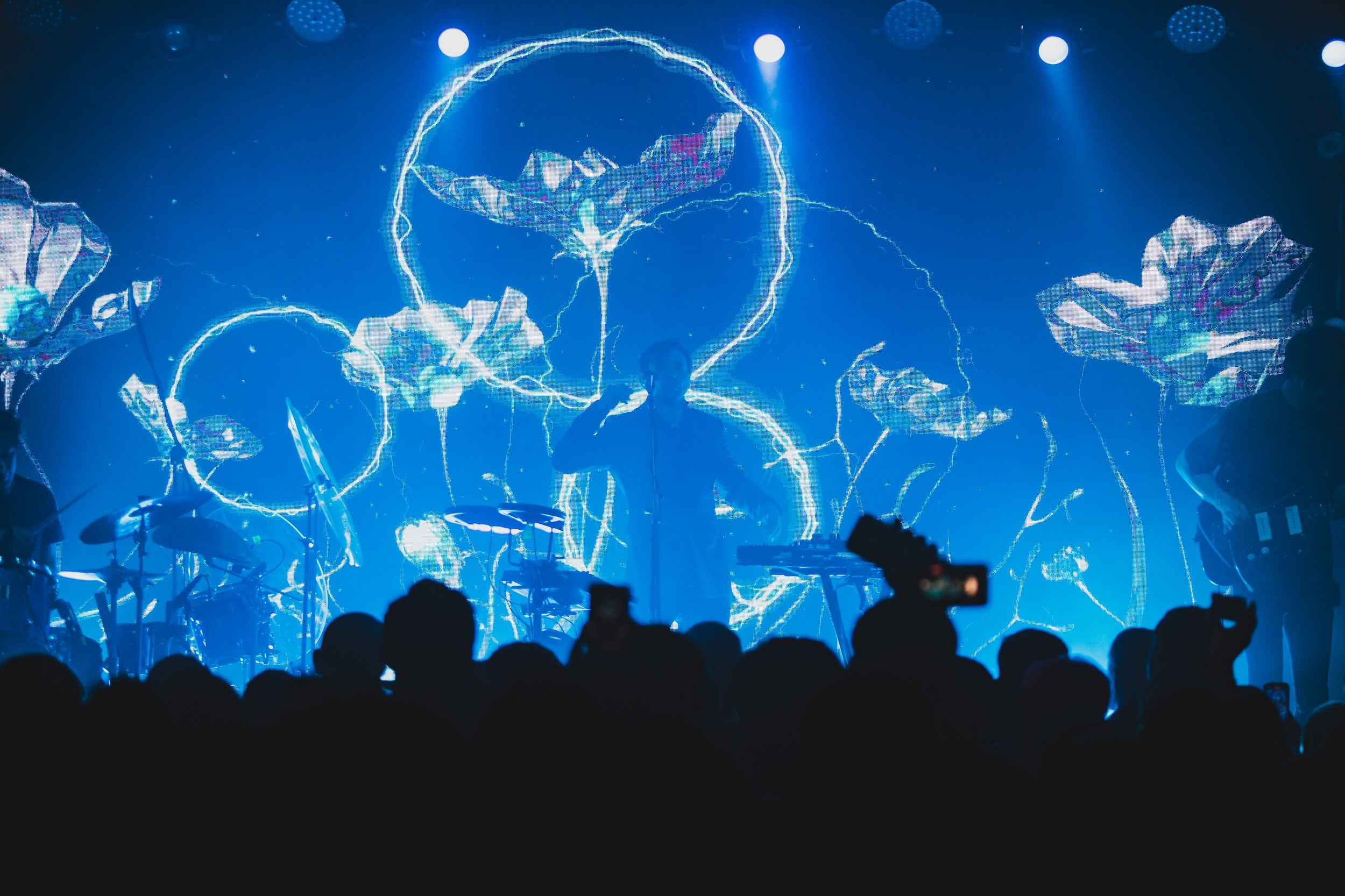 Дельфин. Репортажный фотограф Алексей Пирязев