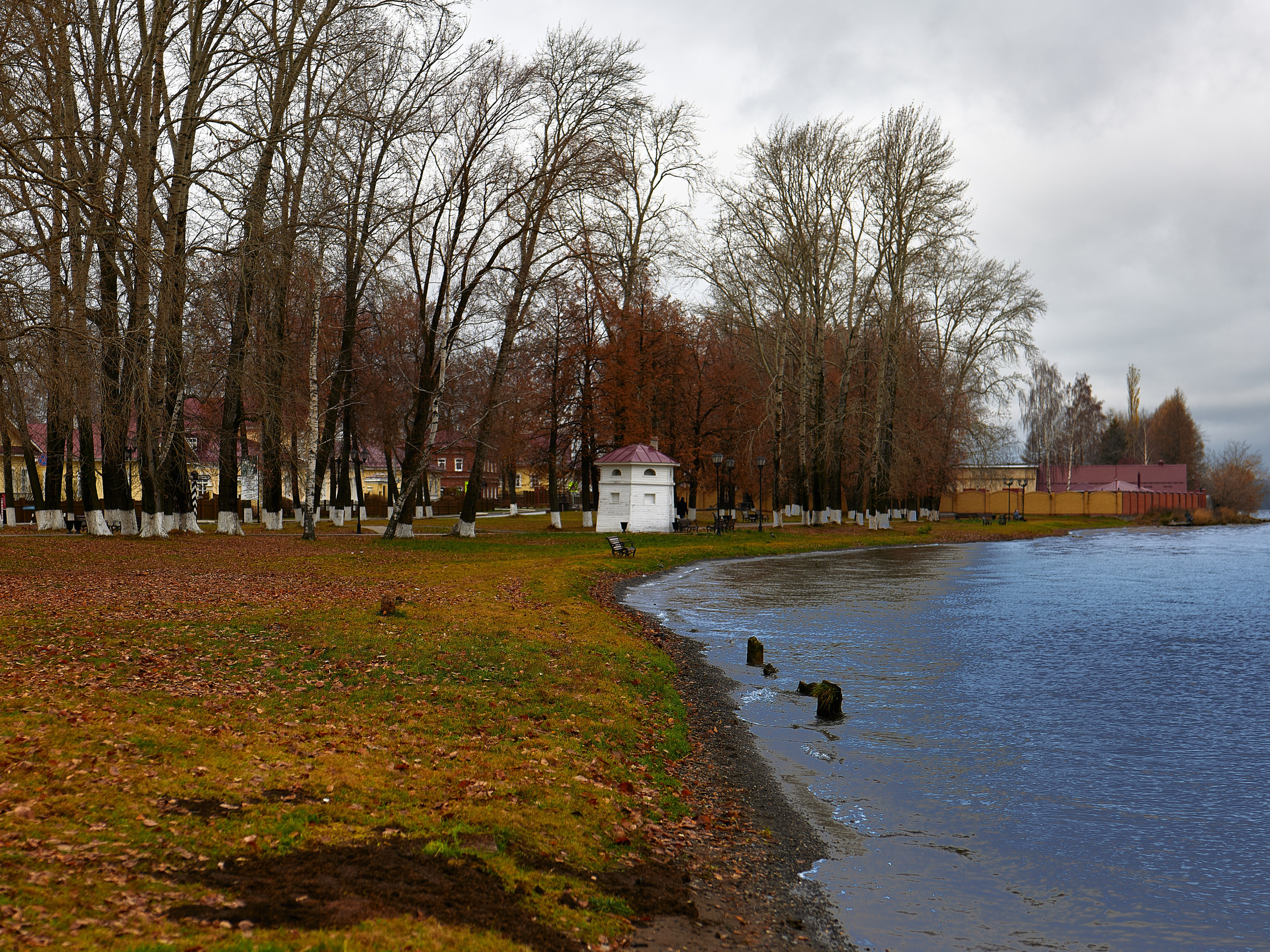 Владимир Власюк