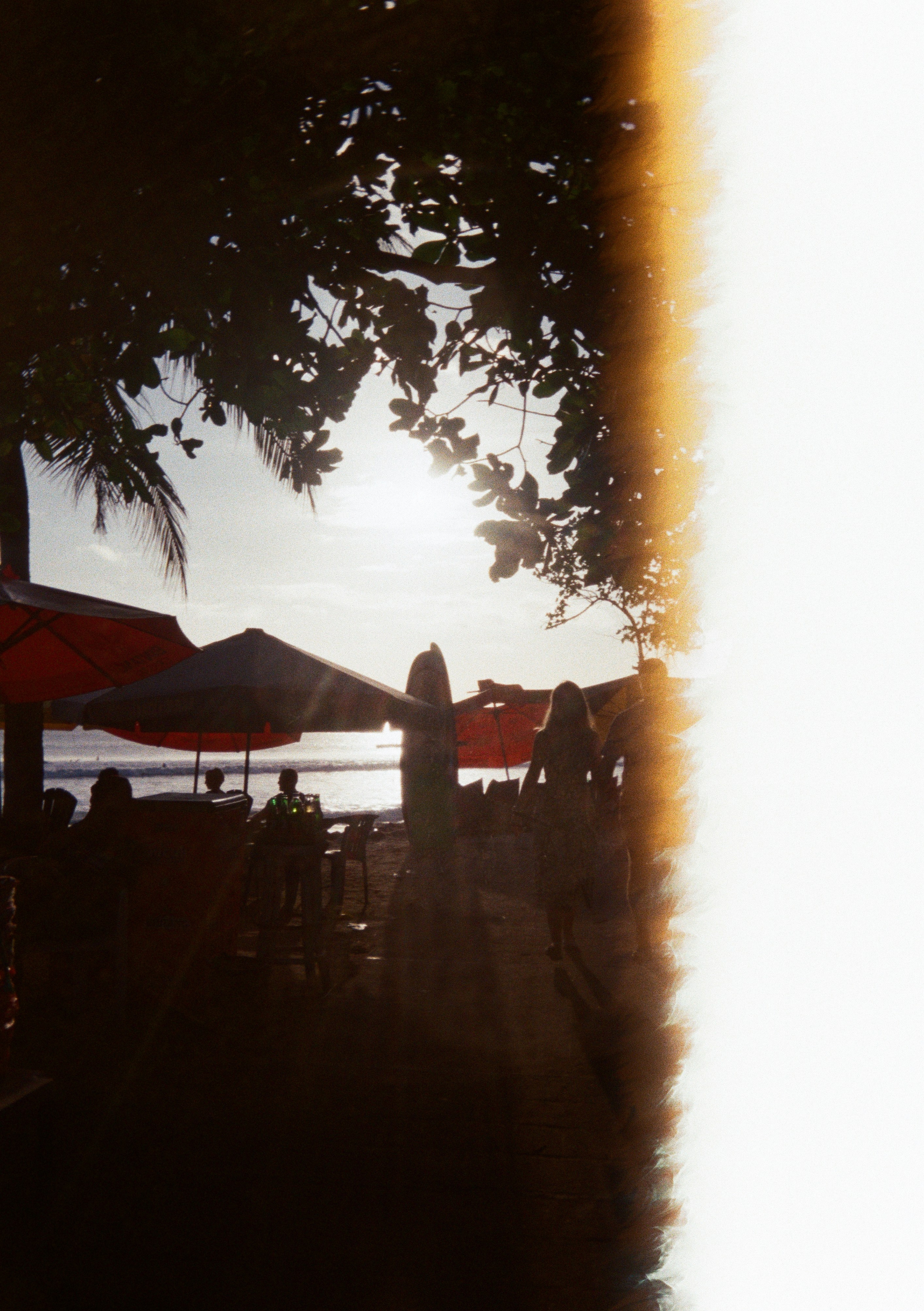 Виолетта Скрипка