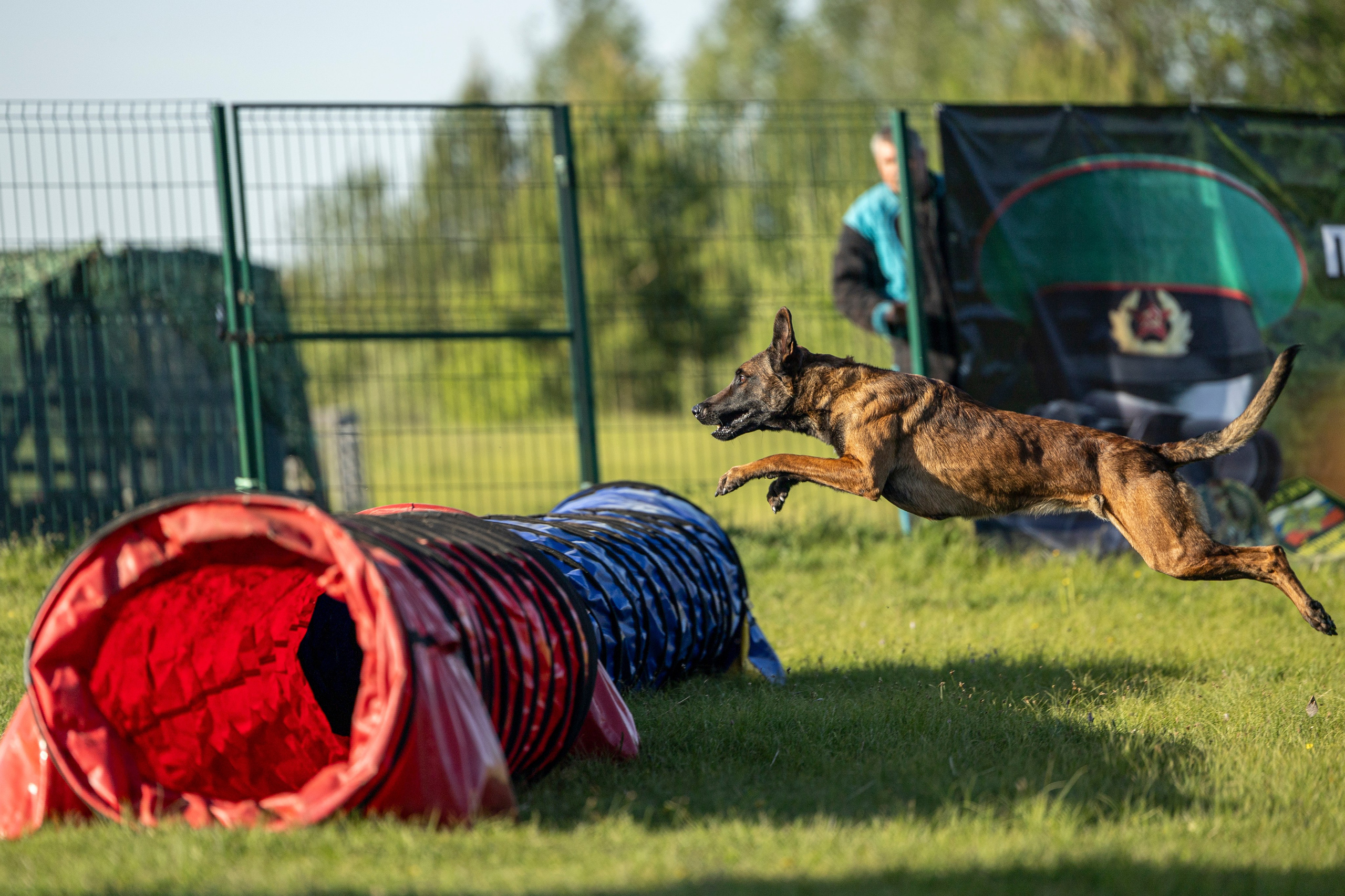 Испытания по мондьорингу в Нижнем Новгороде. Фотограф-анималист Анна Маринич