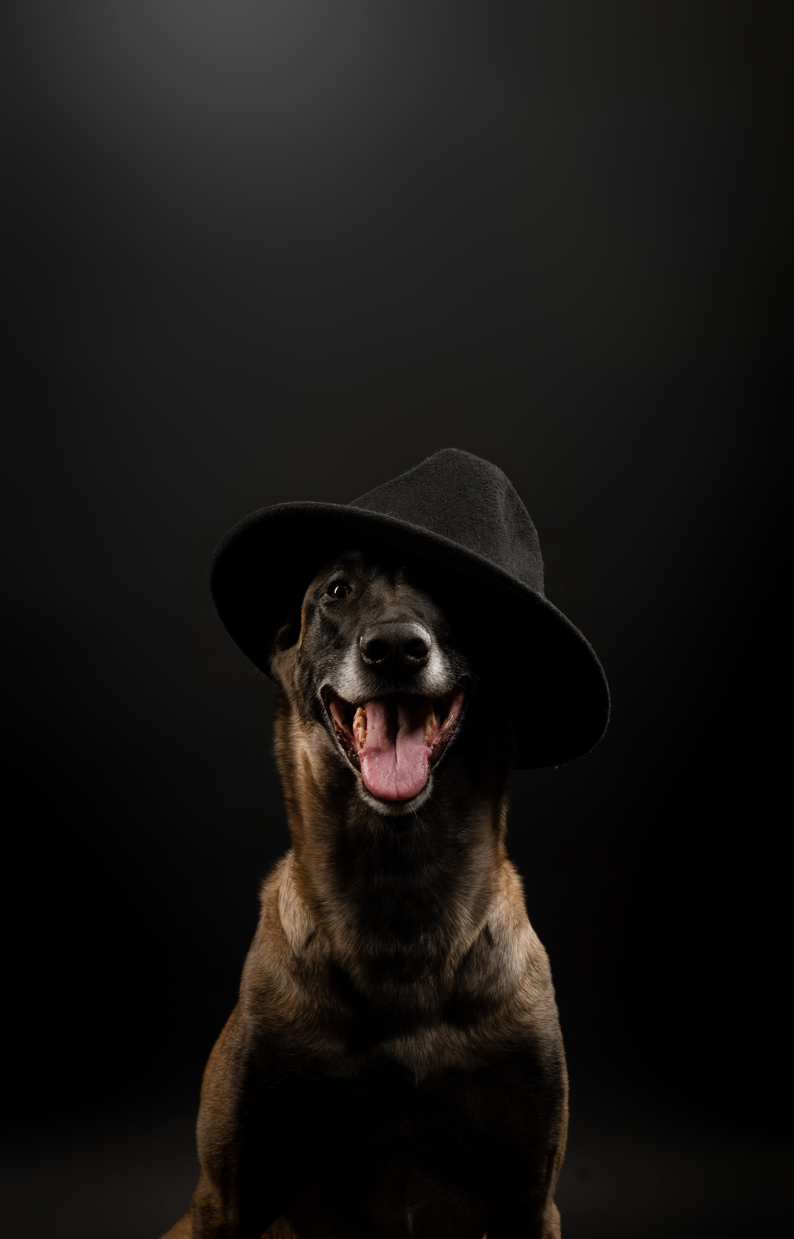 Малины. Фотограф-анималист в Санкт-Петербурге Яна Мартынова