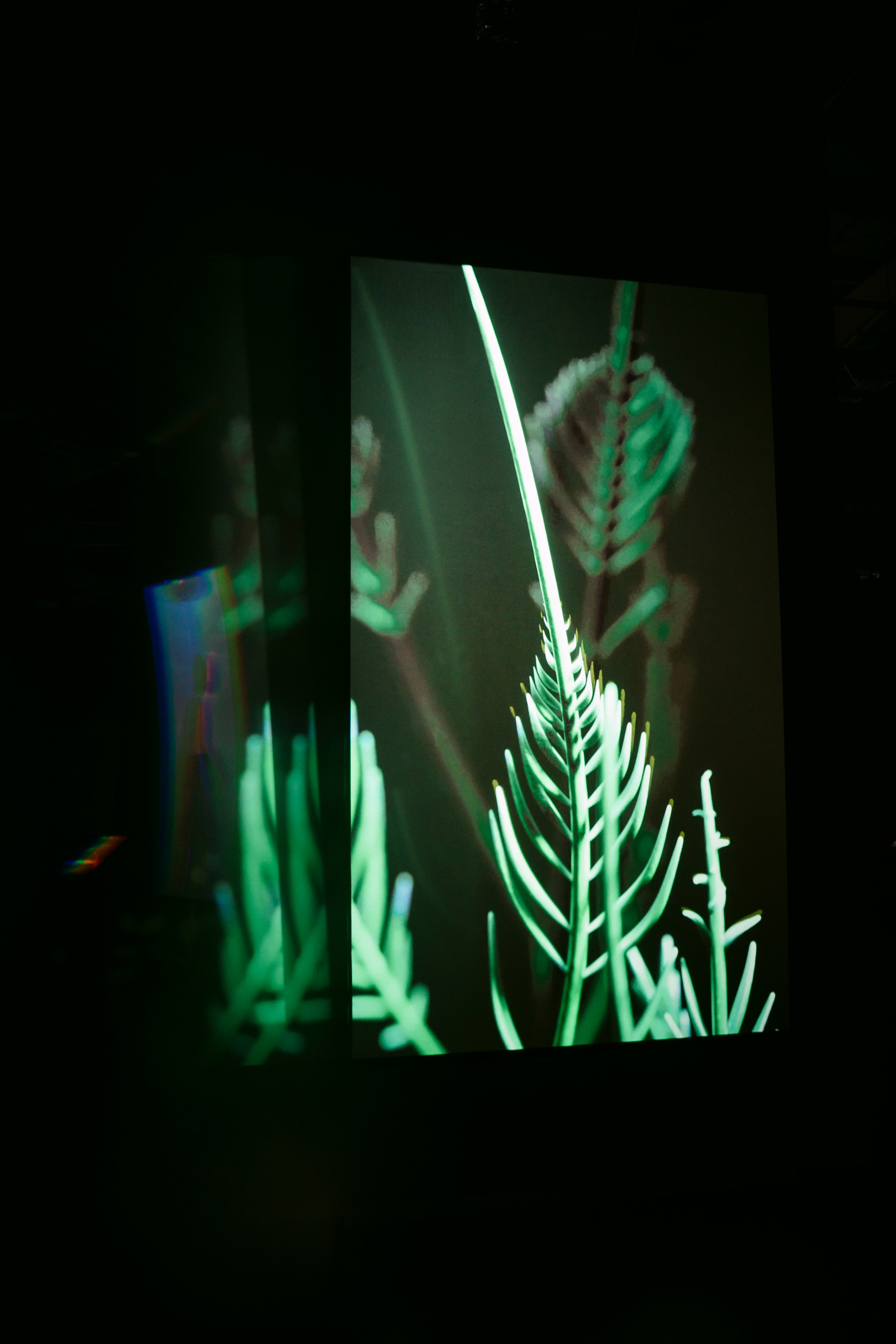 NUR NOW 2026. Главная