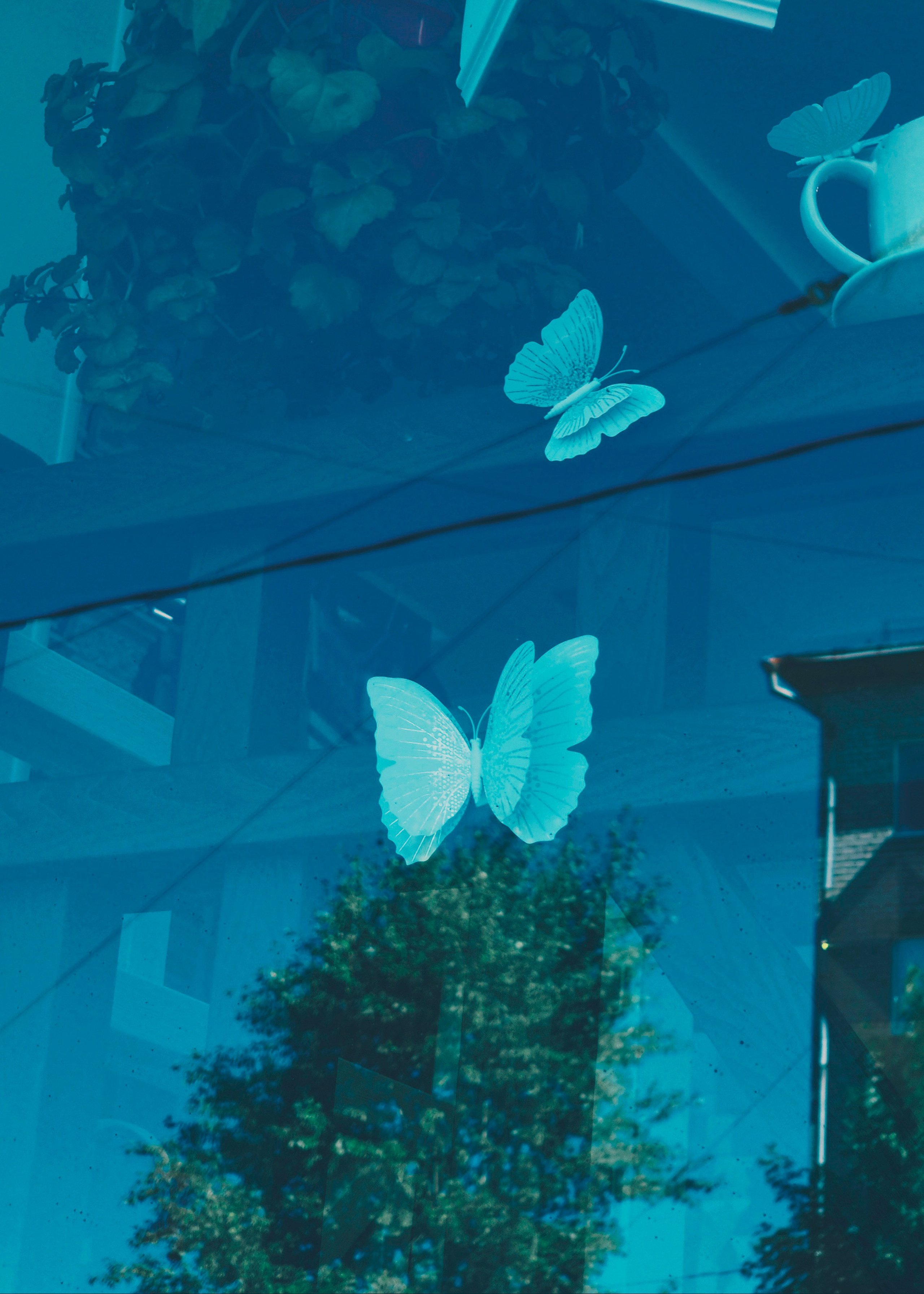 Июль 2025. Den Mirov — Фотограф, Музыкант