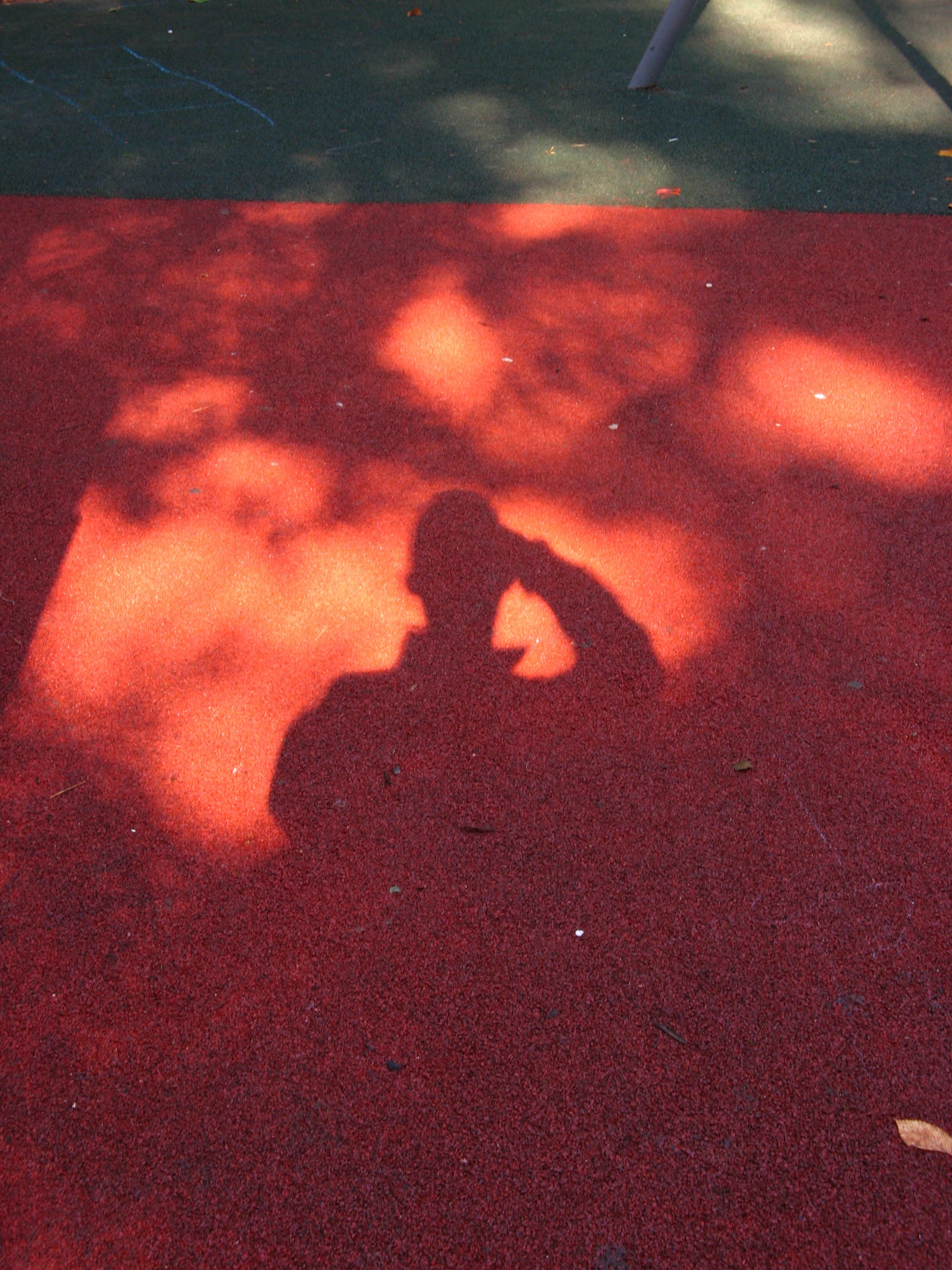 Сентябрь 2025. Den Mirov — Фотограф, Музыкант