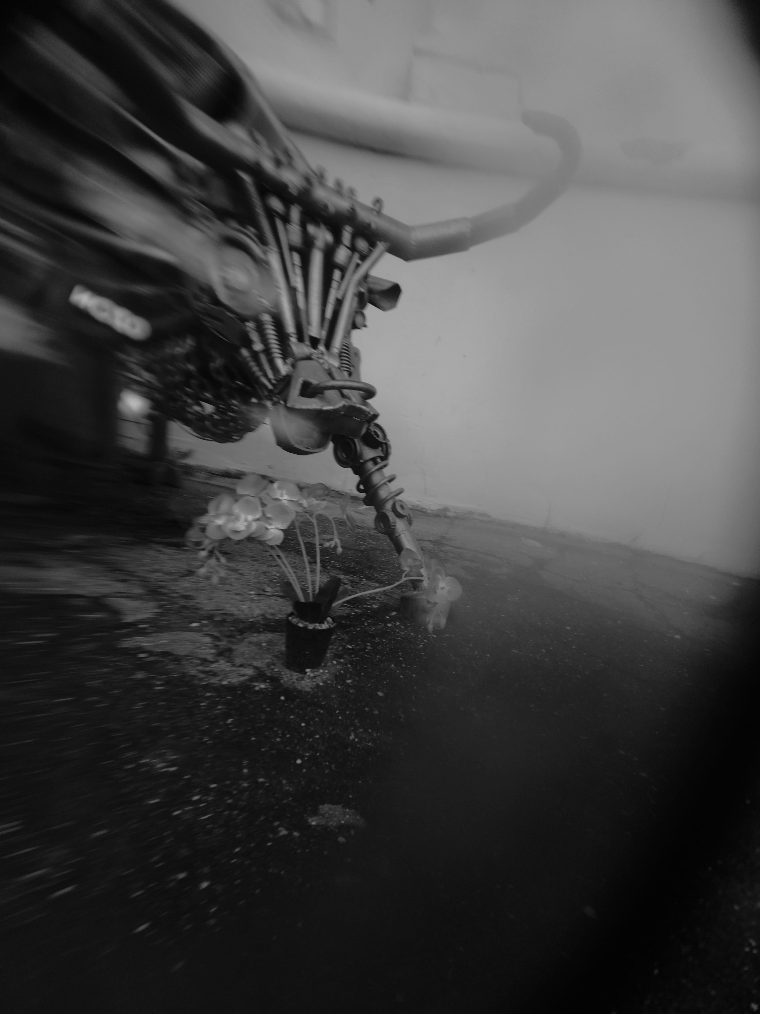 Август 2025. Den Mirov — Фотограф, Музыкант