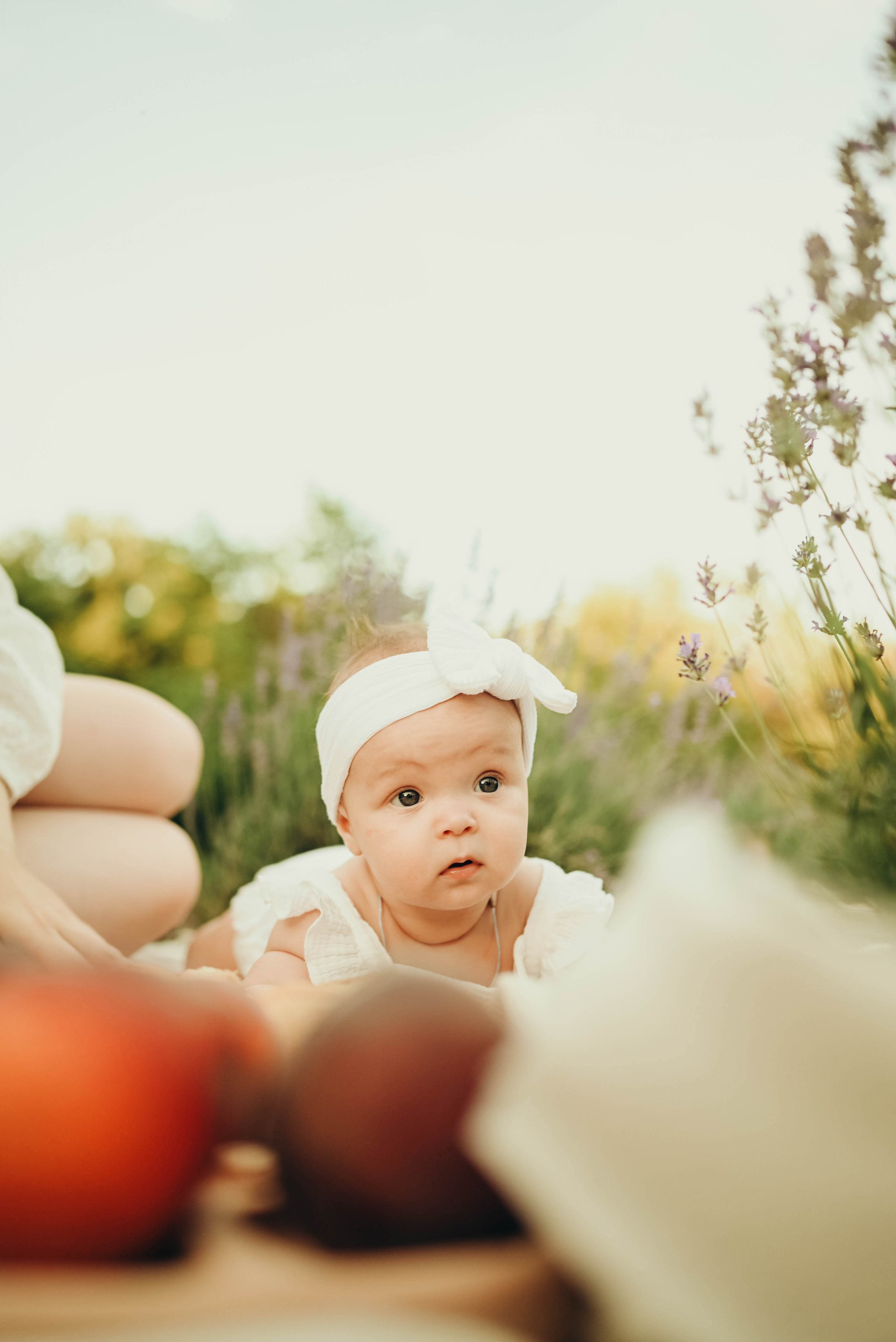 Лавандовая история в бот.саду Воронежа. Семейный фотограф в Москве Люберцах Ирина Вронская
