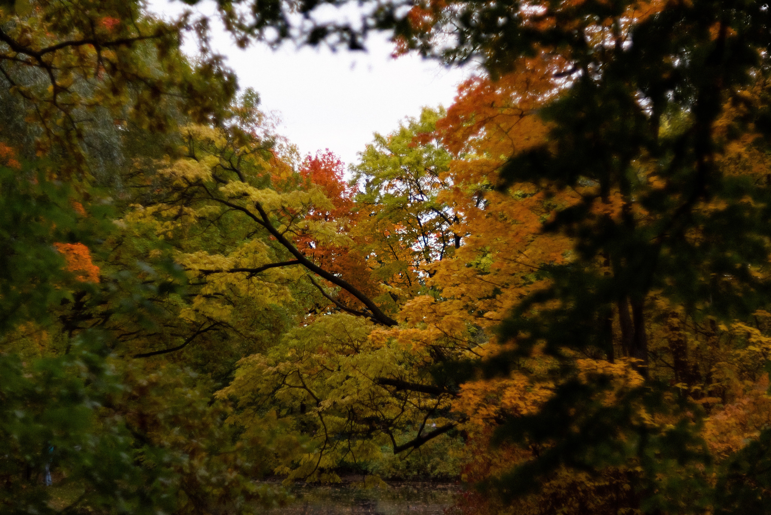 Autumn. Свадебный фотограф Санкт-Петербург DanyaPhotoart