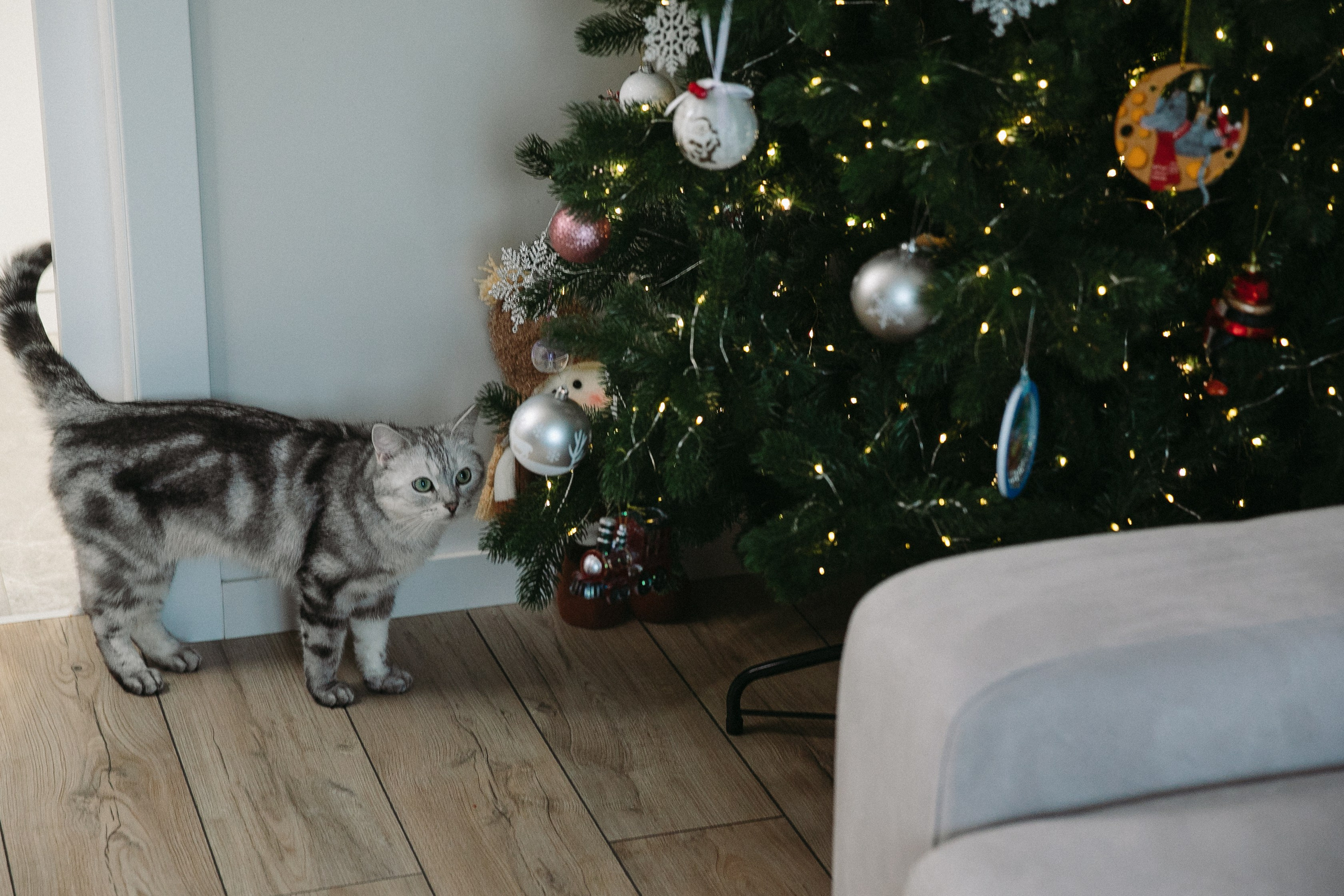 Семья. Фотограф в Москве Шаганова Нина