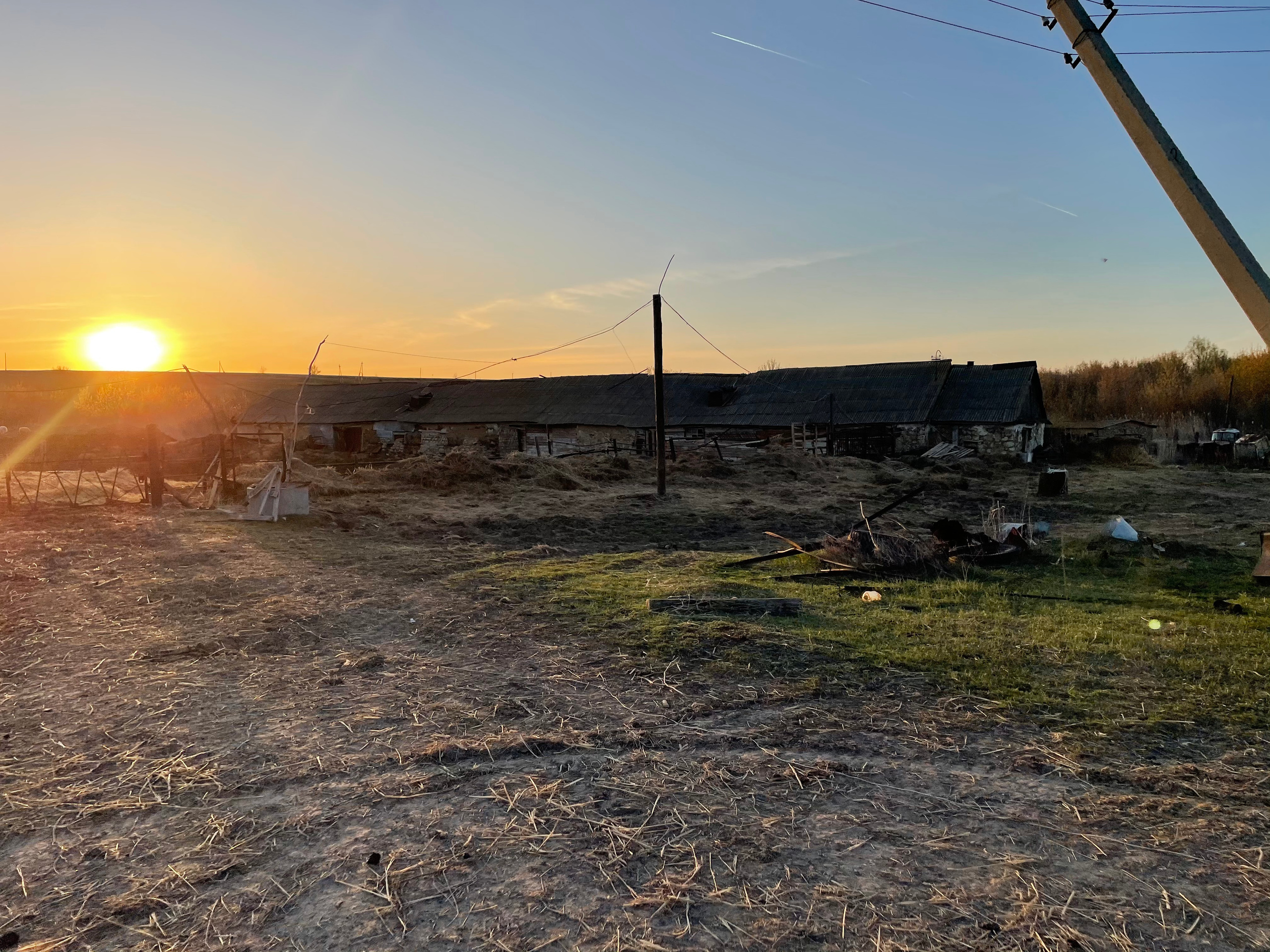 71 116 Коровник. ВИЗУАЛЬНЫЕ И ЗВУКОВЫЕ РЕШЕНИЯ ДЛЯ БИЗНЕСА И СЪЁМОК ТЕЛЕТЕЛА