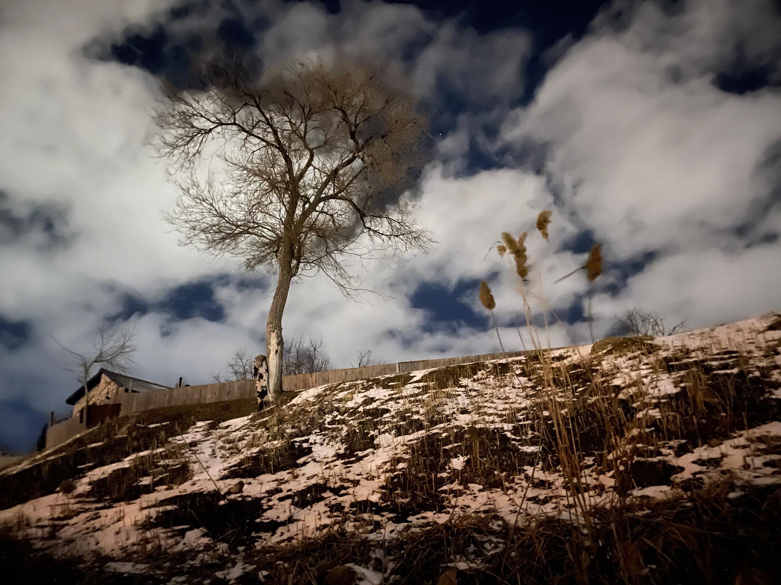 60 118 Картина. ВИЗУАЛЬНЫЕ И ЗВУКОВЫЕ РЕШЕНИЯ ДЛЯ БИЗНЕСА И СЪЁМОК ТЕЛЕТЕЛА