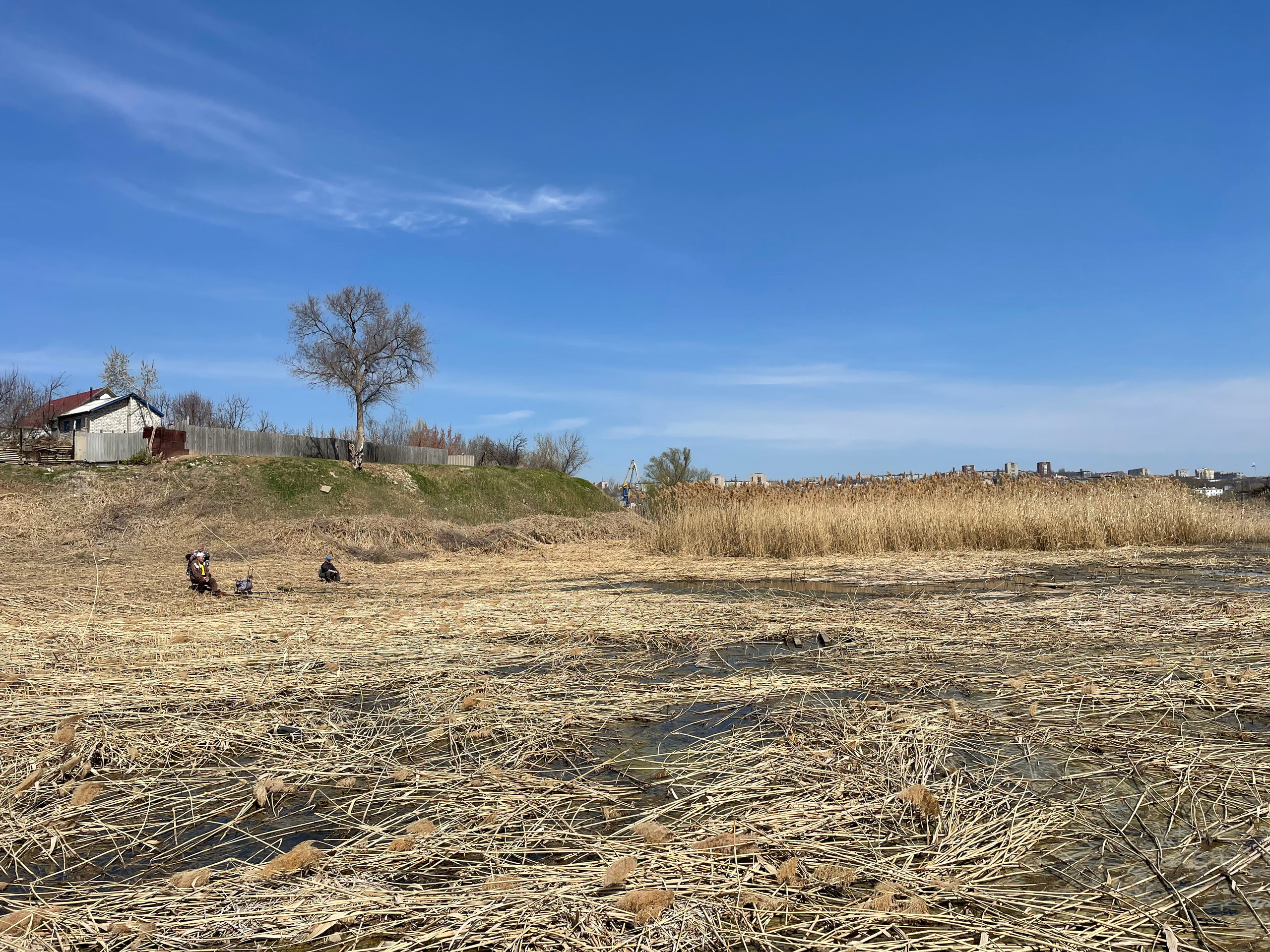 60 031 Картина. ВИЗУАЛЬНЫЕ И ЗВУКОВЫЕ РЕШЕНИЯ ДЛЯ БИЗНЕСА И СЪЁМОК ТЕЛЕТЕЛА