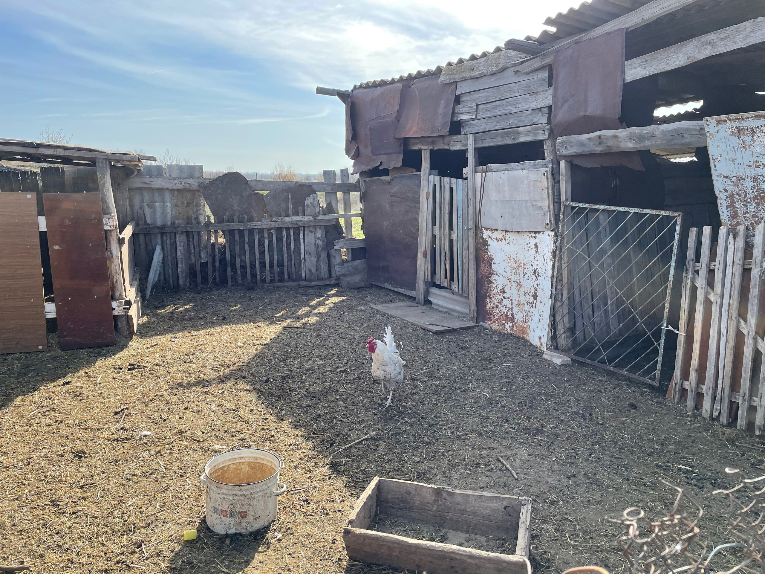 71 101 Курятник. ВИЗУАЛЬНЫЕ И ЗВУКОВЫЕ РЕШЕНИЯ ДЛЯ БИЗНЕСА И СЪЁМОК ТЕЛЕТЕЛА