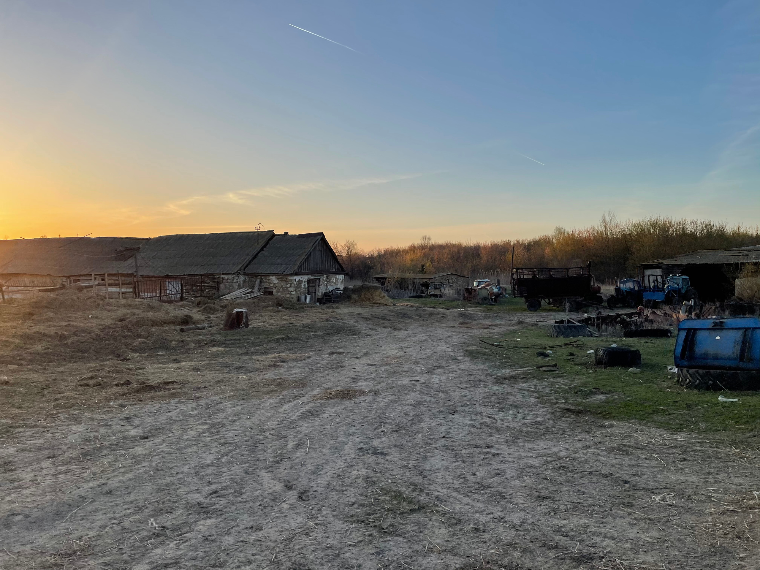 71 116 Коровник. ВИЗУАЛЬНЫЕ И ЗВУКОВЫЕ РЕШЕНИЯ ДЛЯ БИЗНЕСА И СЪЁМОК ТЕЛЕТЕЛА