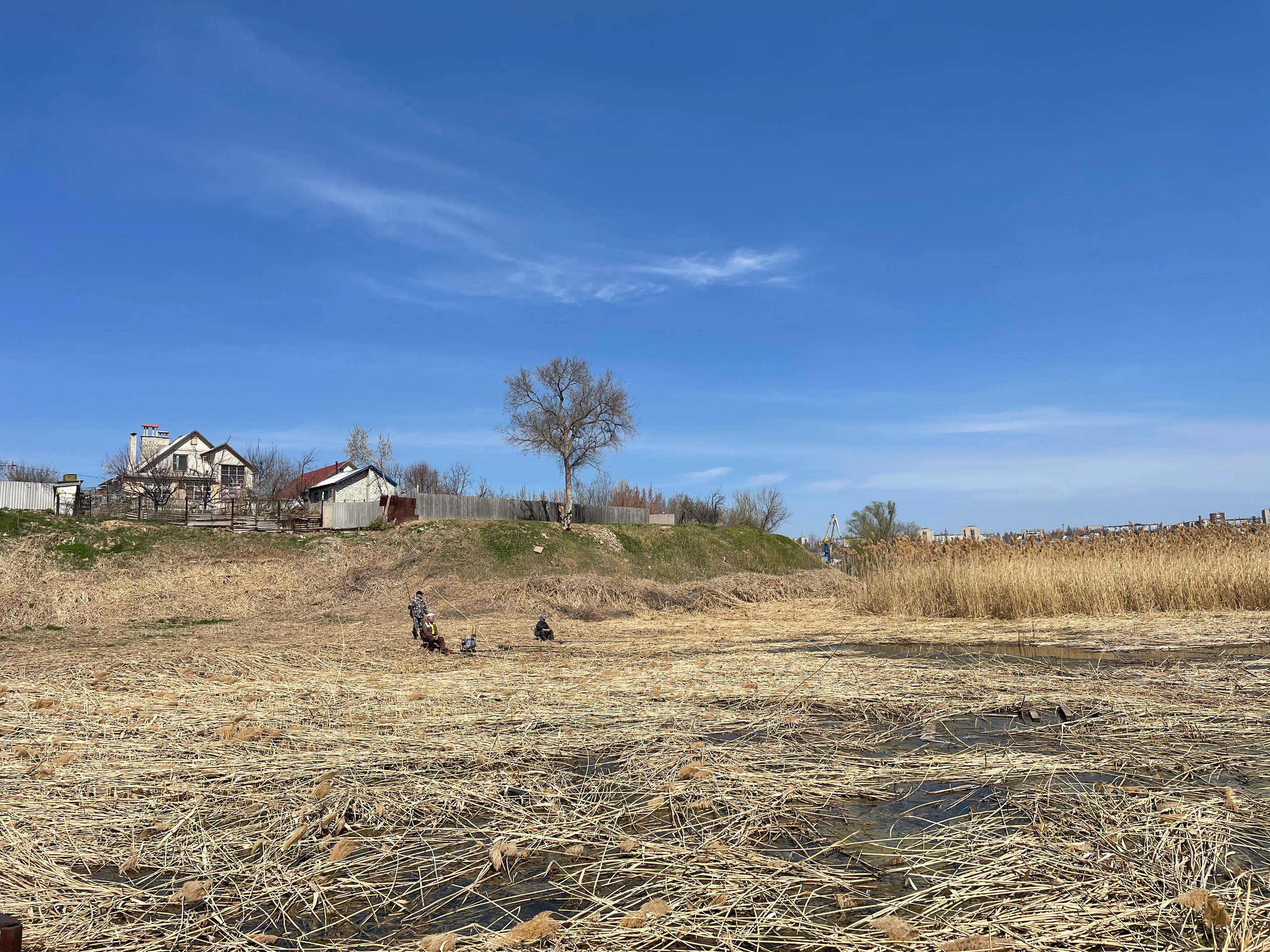 60 031 Картина. ВИЗУАЛЬНЫЕ И ЗВУКОВЫЕ РЕШЕНИЯ ДЛЯ БИЗНЕСА И СЪЁМОК ТЕЛЕТЕЛА