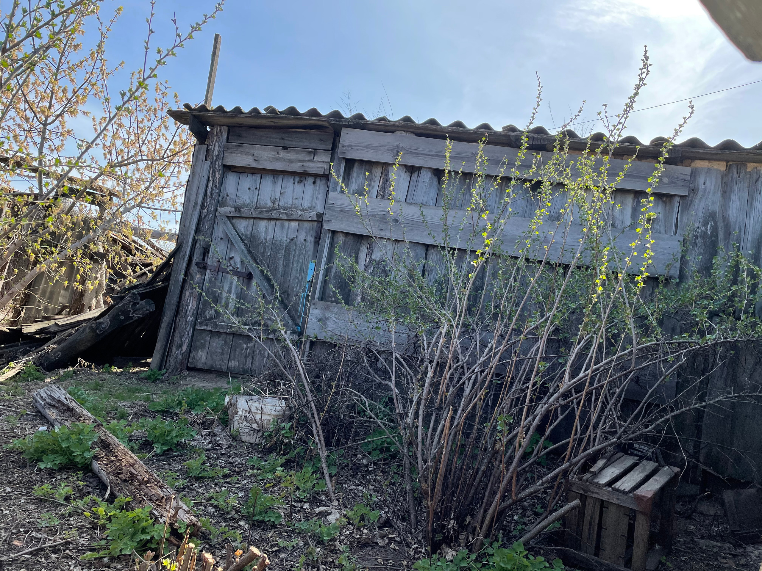 71 100 Сарай. ВИЗУАЛЬНЫЕ И ЗВУКОВЫЕ РЕШЕНИЯ ДЛЯ БИЗНЕСА И СЪЁМОК ТЕЛЕТЕЛА