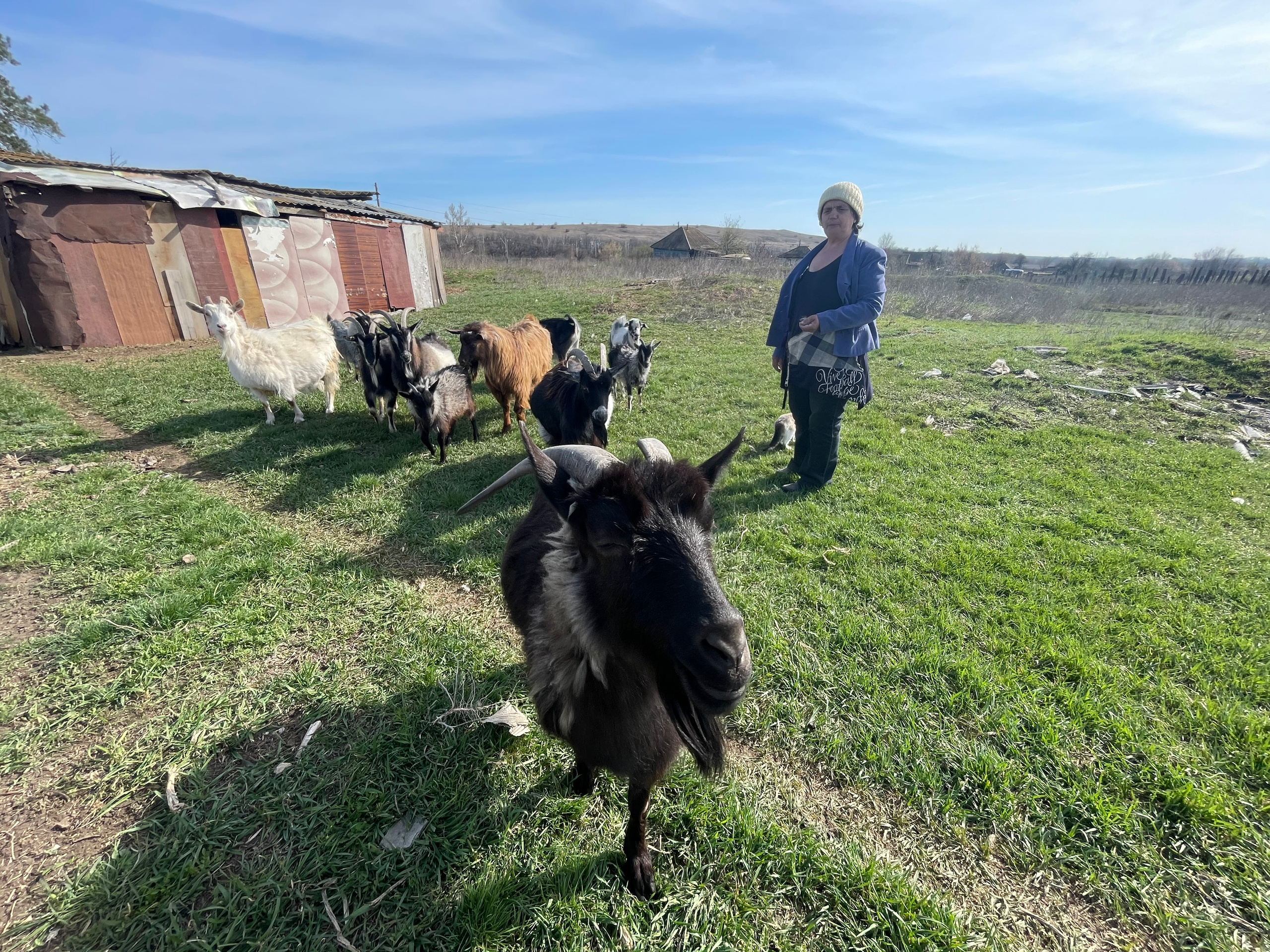 75 001 Семейная пара. ВИЗУАЛЬНЫЕ И ЗВУКОВЫЕ РЕШЕНИЯ ДЛЯ БИЗНЕСА И СЪЁМОК ТЕЛЕТЕЛА