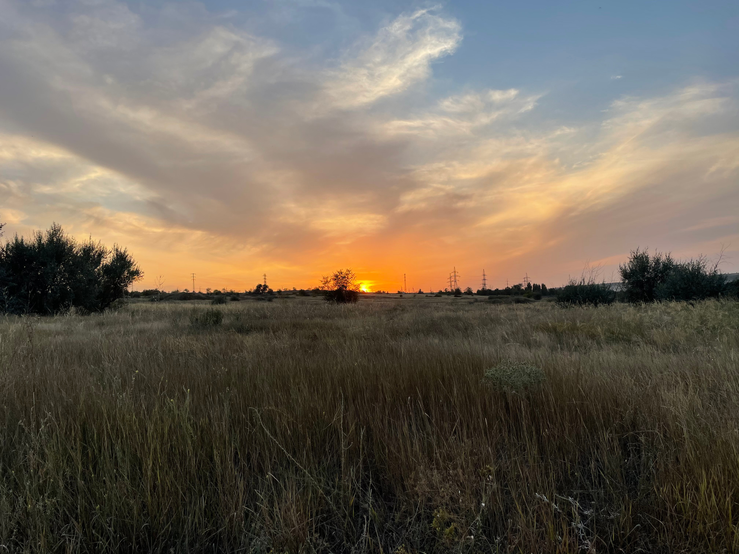 10 705 Степь. ВИЗУАЛЬНЫЕ И ЗВУКОВЫЕ РЕШЕНИЯ ДЛЯ БИЗНЕСА И СЪЁМОК ТЕЛЕТЕЛА