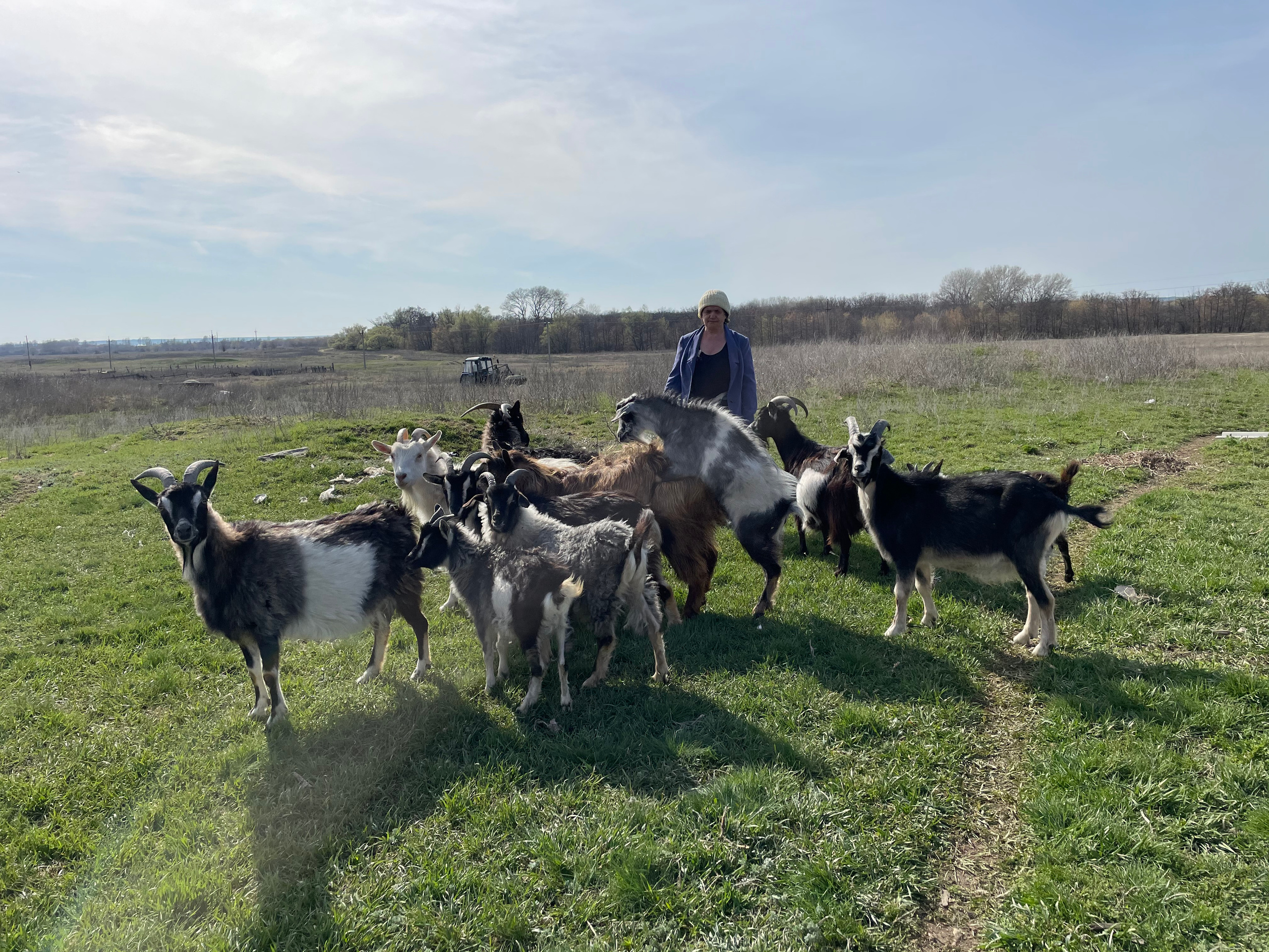 170 002 Козы. ВИЗУАЛЬНЫЕ И ЗВУКОВЫЕ РЕШЕНИЯ ДЛЯ БИЗНЕСА И СЪЁМОК ТЕЛЕТЕЛА