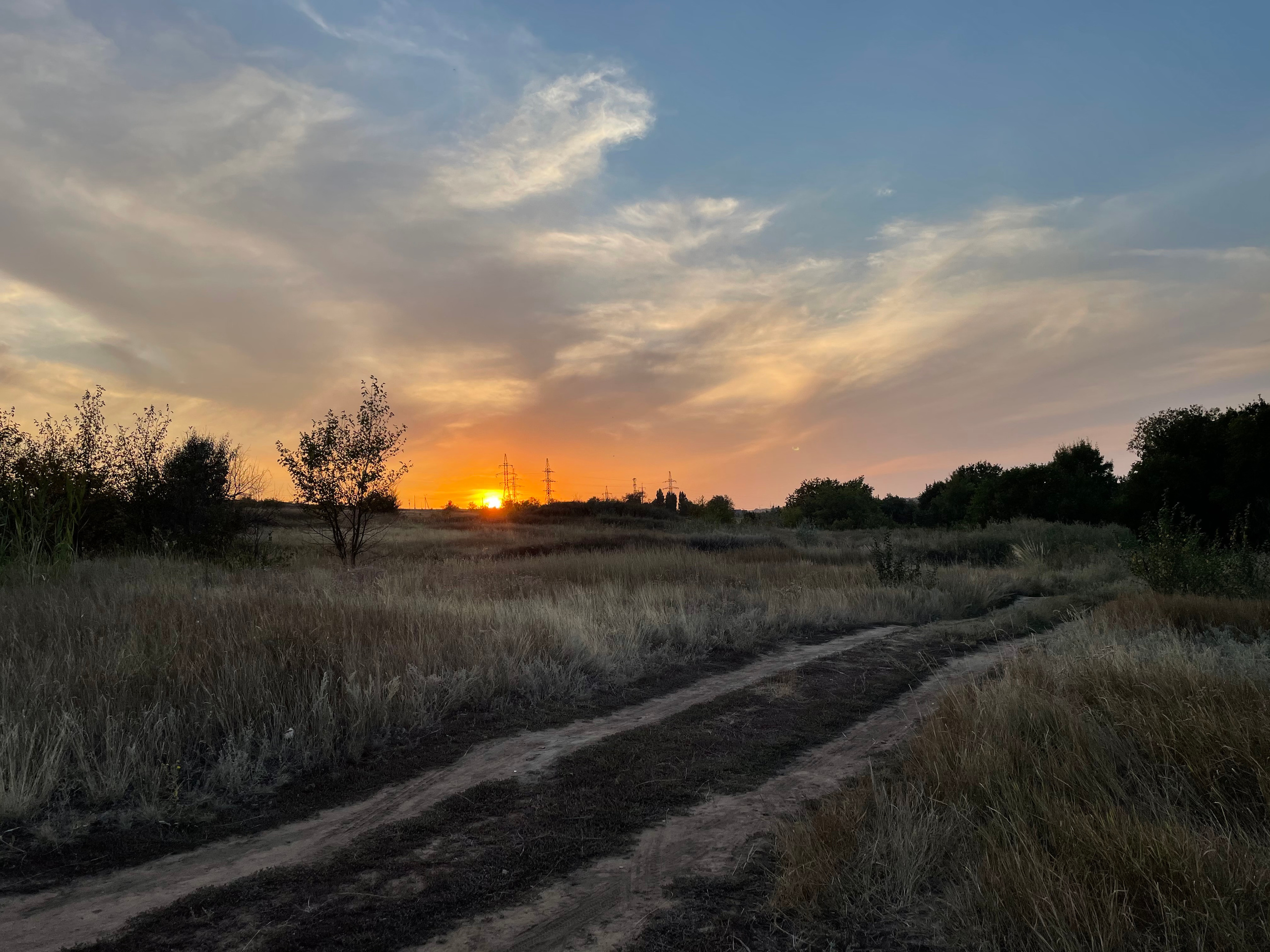10 706 Степь, дерево. ВИЗУАЛЬНЫЕ И ЗВУКОВЫЕ РЕШЕНИЯ ДЛЯ БИЗНЕСА И СЪЁМОК ТЕЛЕТЕЛА