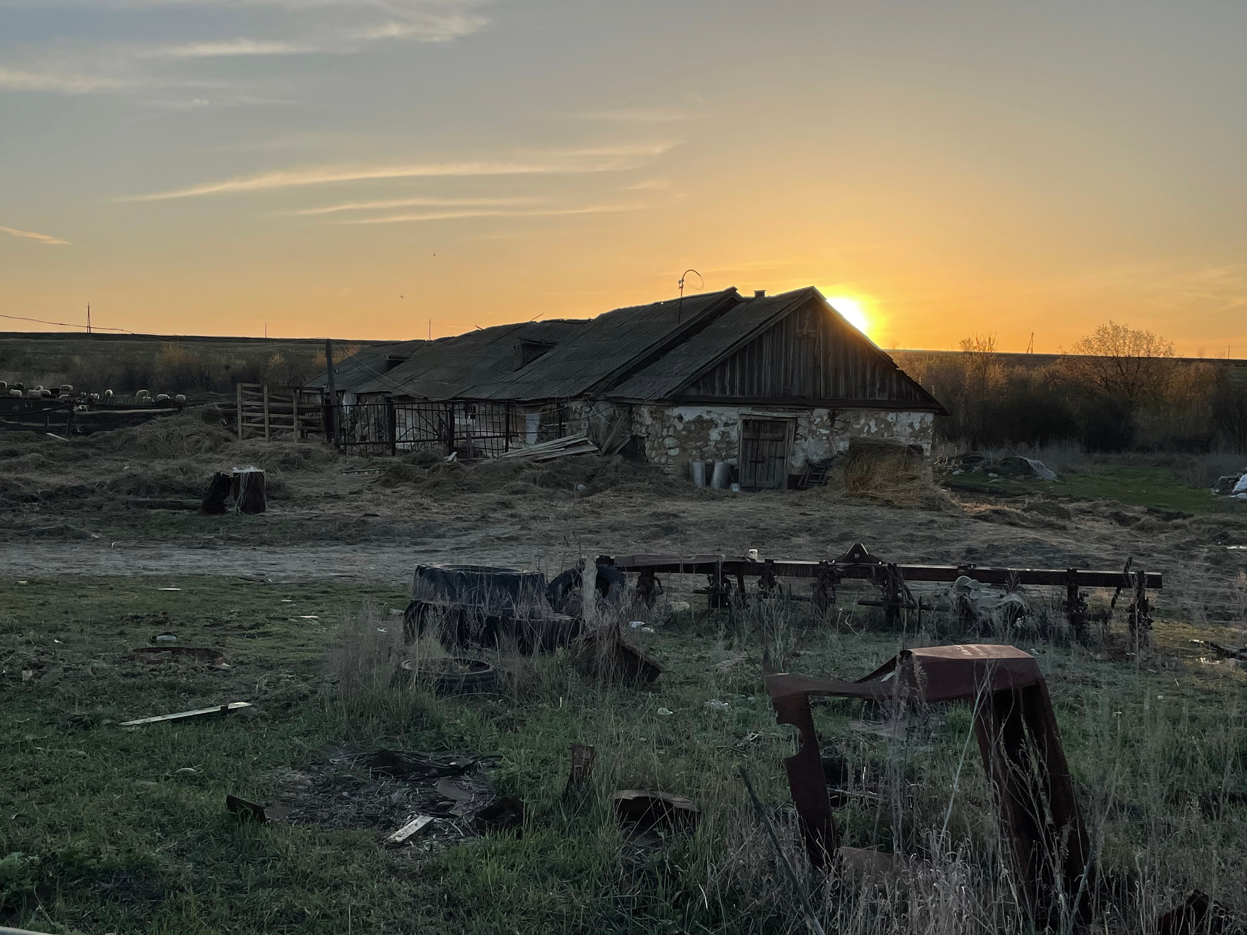 71 116 Коровник. ВИЗУАЛЬНЫЕ И ЗВУКОВЫЕ РЕШЕНИЯ ДЛЯ БИЗНЕСА И СЪЁМОК ТЕЛЕТЕЛА