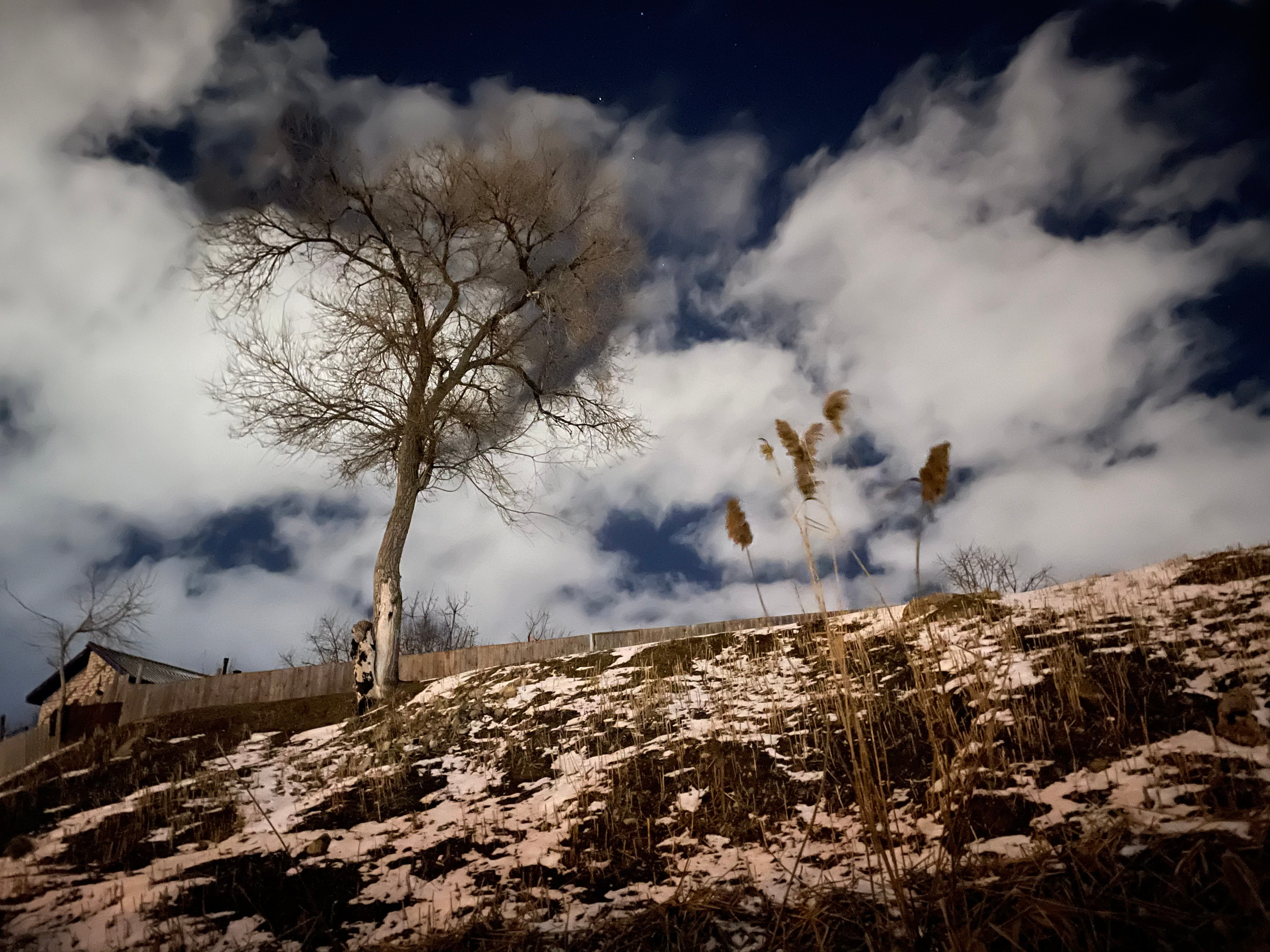 60 118 Картина. ВИЗУАЛЬНЫЕ И ЗВУКОВЫЕ РЕШЕНИЯ ДЛЯ БИЗНЕСА И СЪЁМОК ТЕЛЕТЕЛА