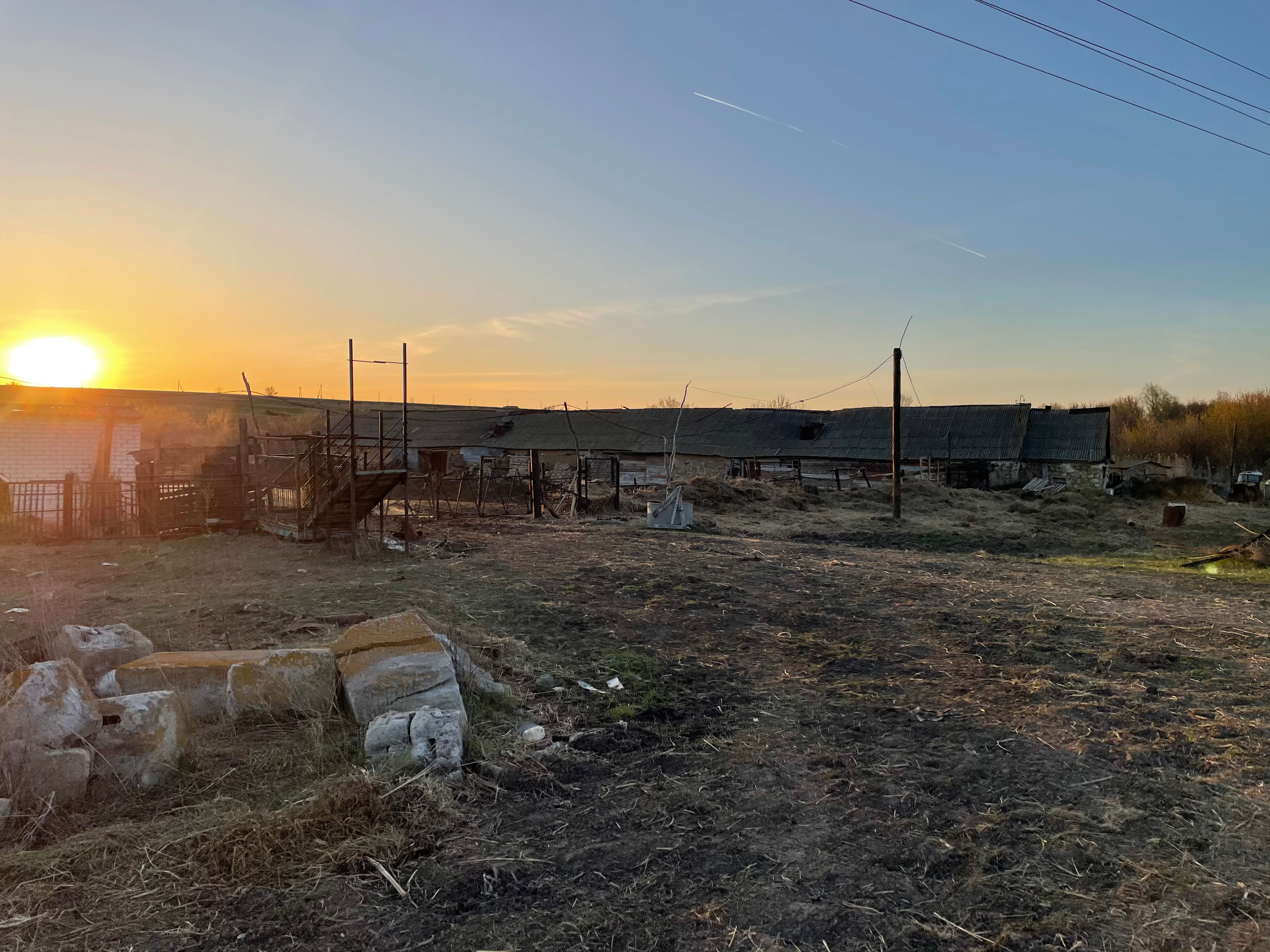 71 116 Коровник. ВИЗУАЛЬНЫЕ И ЗВУКОВЫЕ РЕШЕНИЯ ДЛЯ БИЗНЕСА И СЪЁМОК ТЕЛЕТЕЛА