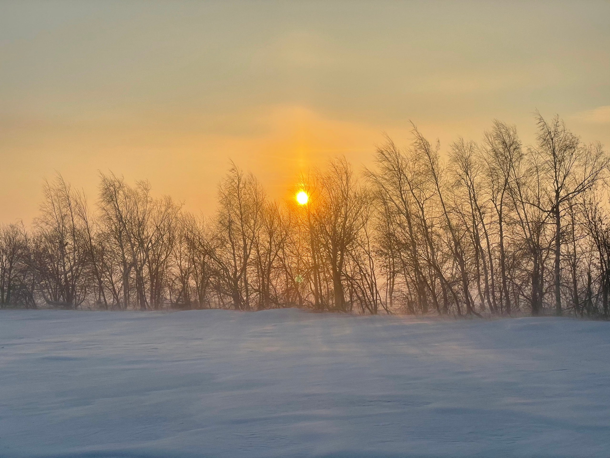 50 170 Дорога. ВИЗУАЛЬНЫЕ И ЗВУКОВЫЕ РЕШЕНИЯ ДЛЯ БИЗНЕСА И СЪЁМОК ТЕЛЕТЕЛА