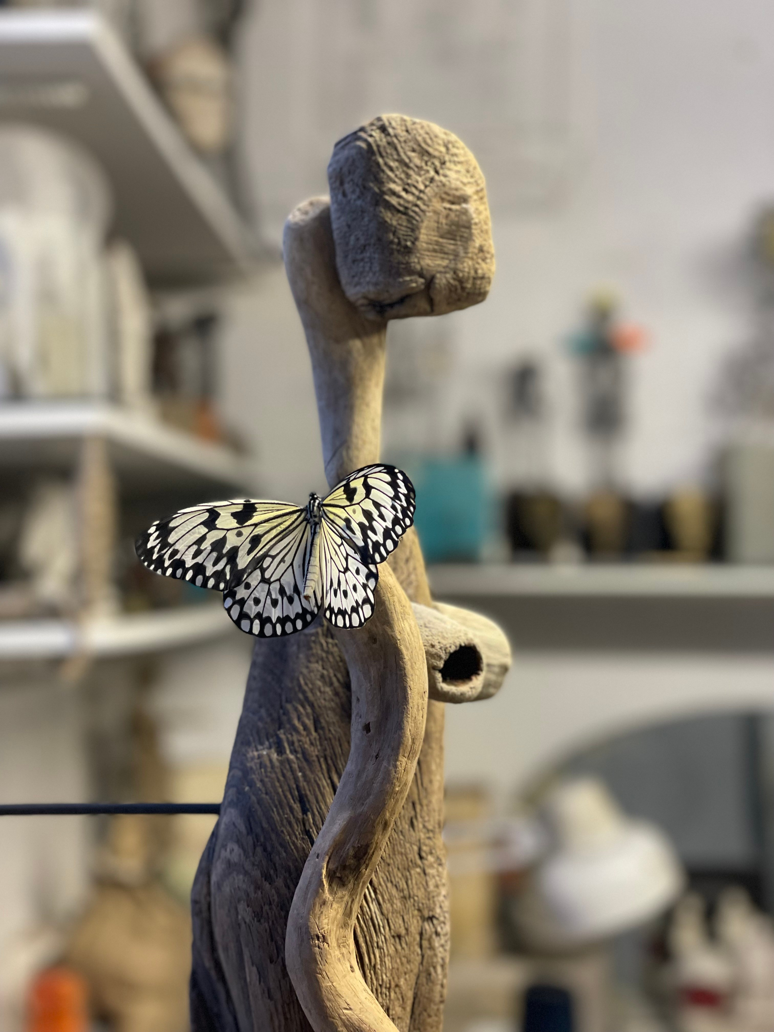 Chrysalis _2024. Художник — скульптор Антонина Фатхуллина