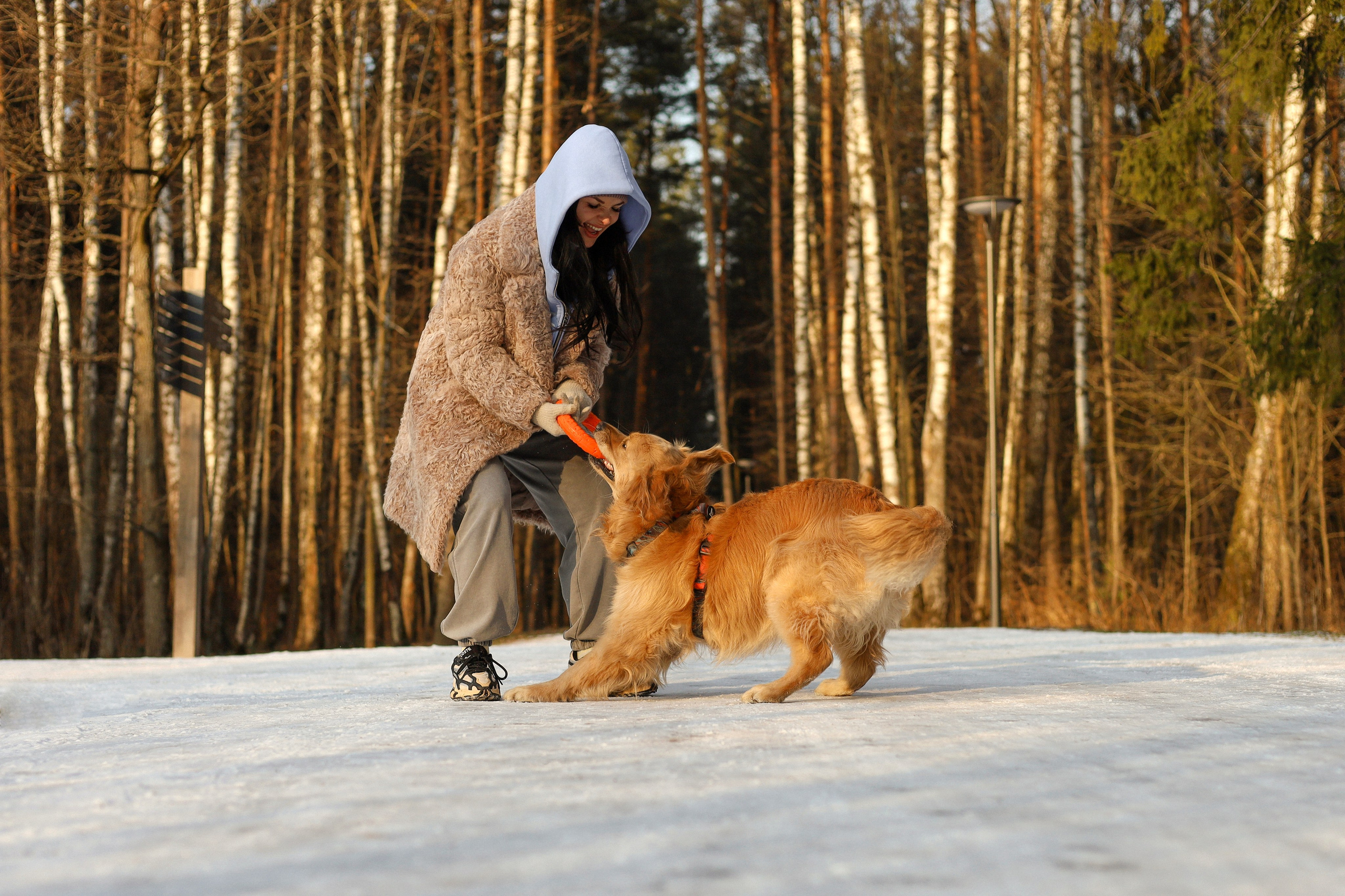 Лёва и Катя. Фотограф-анималист Ксения Шевцова|Москва