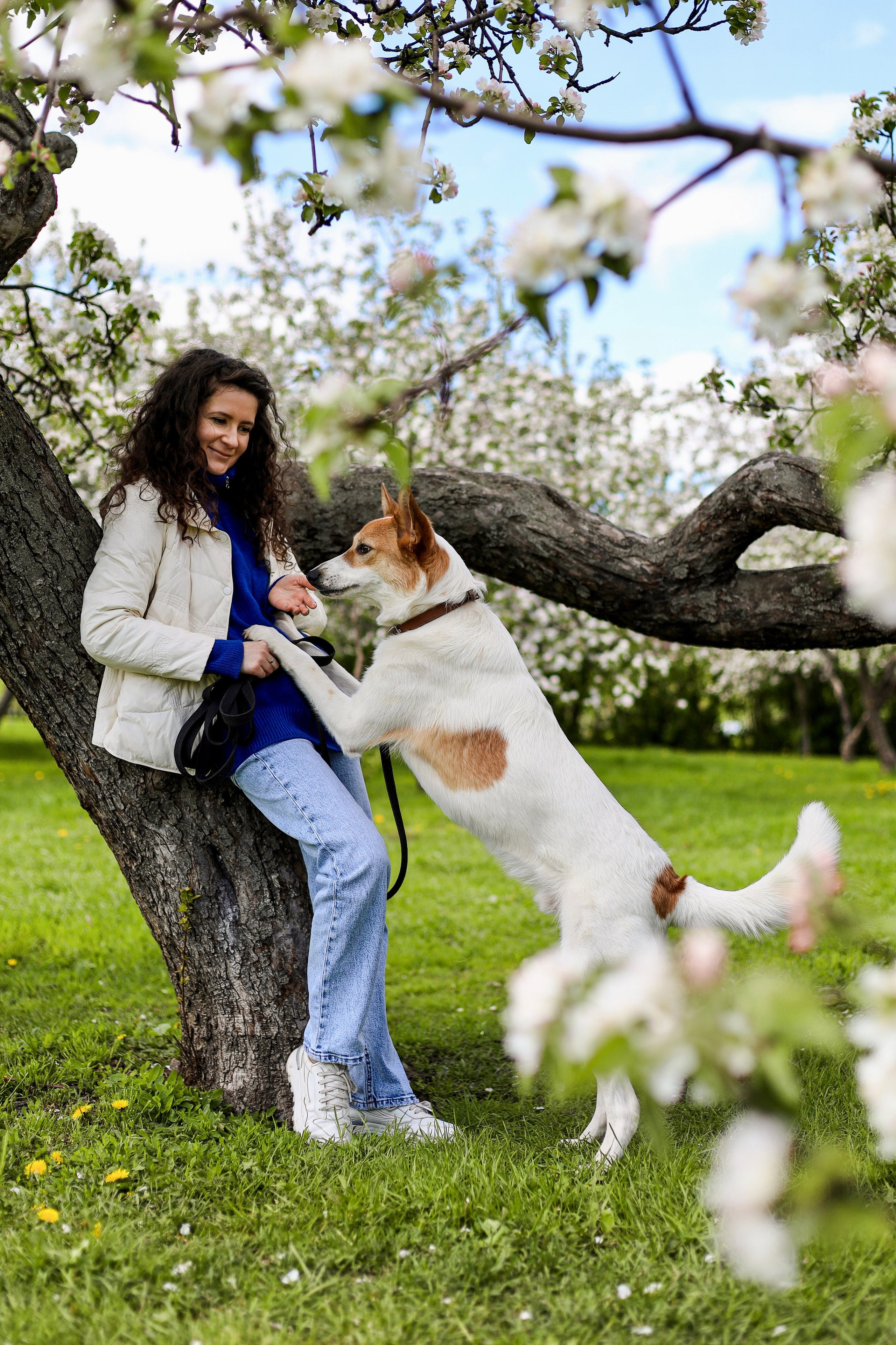 Лучик и Аня. Фотограф-анималист Ксения Шевцова|Москва