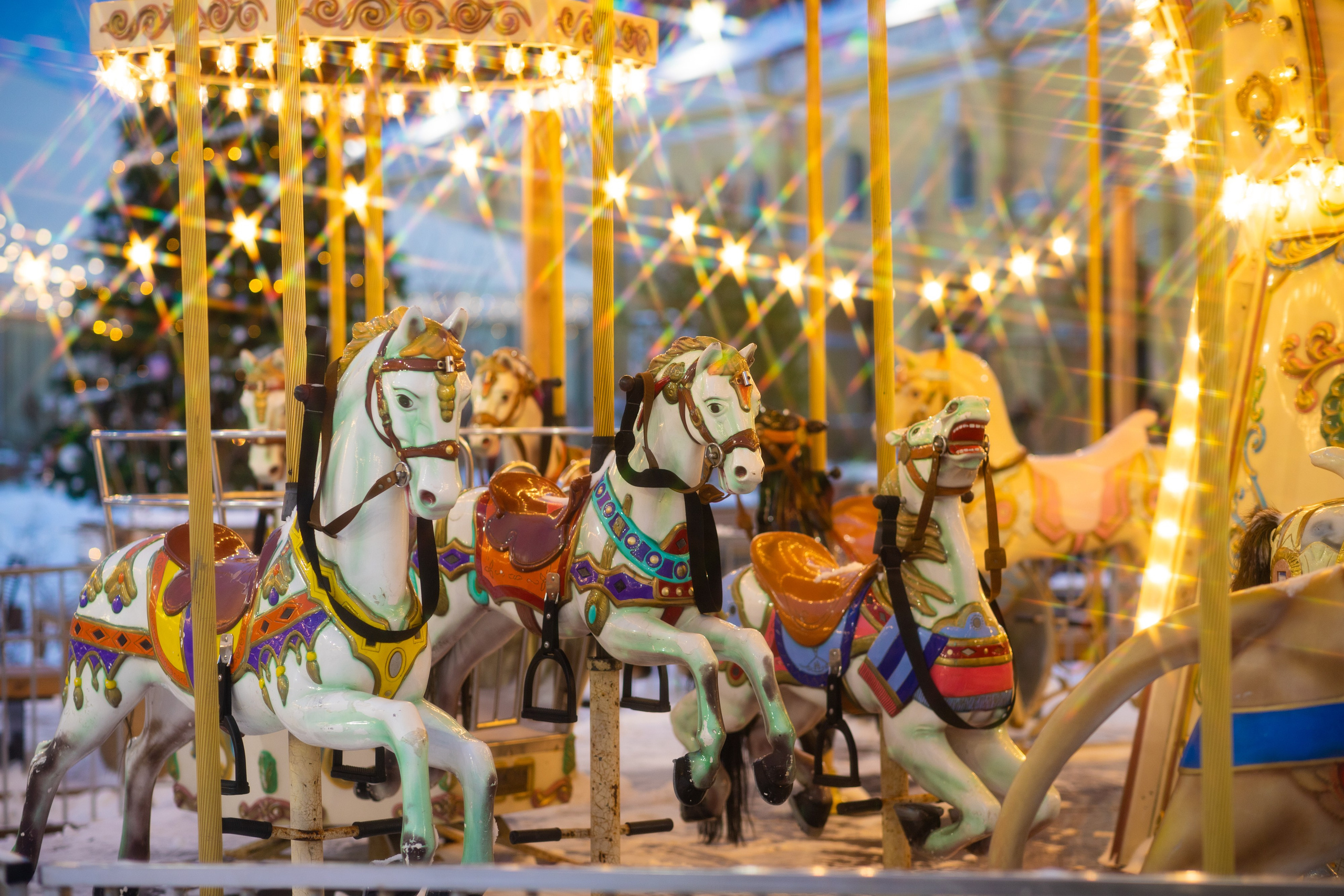 Репортаж. Фотограф в Санкт-Петербурге Степанская Юлия