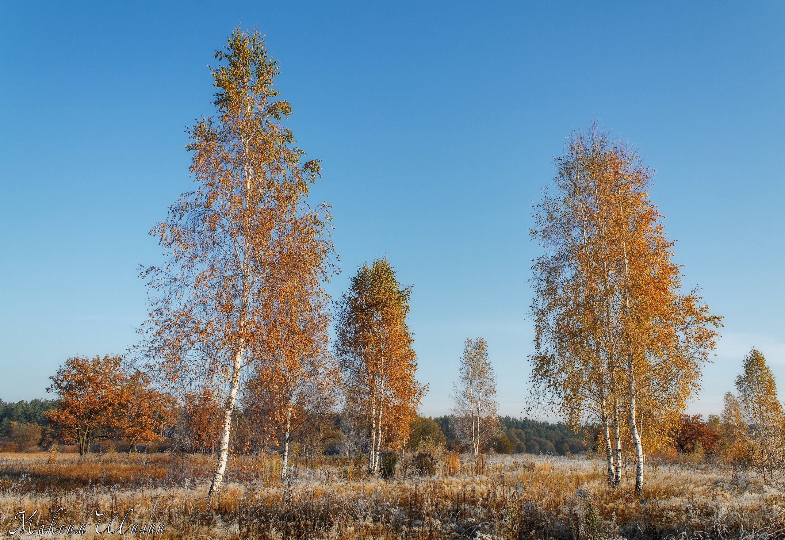 Хотылёво — одно из самых красивых мест для пейзажной фотосъемки. Фотоцентр Перспектива: выпускные альбомы, фотошкола, курсы фотографии