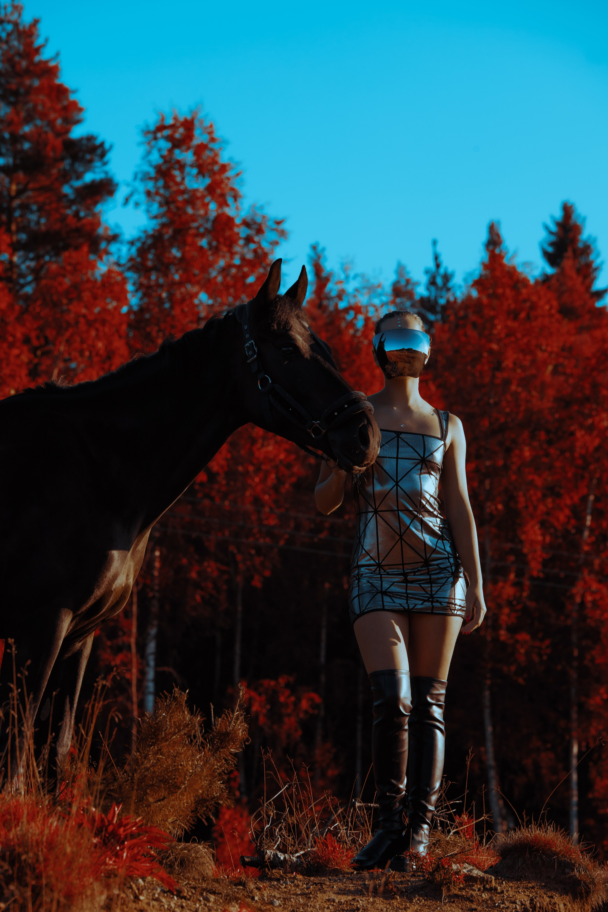 Первый контакт. Конный фотограф в Санкт-Петербурге Анна Лебедева