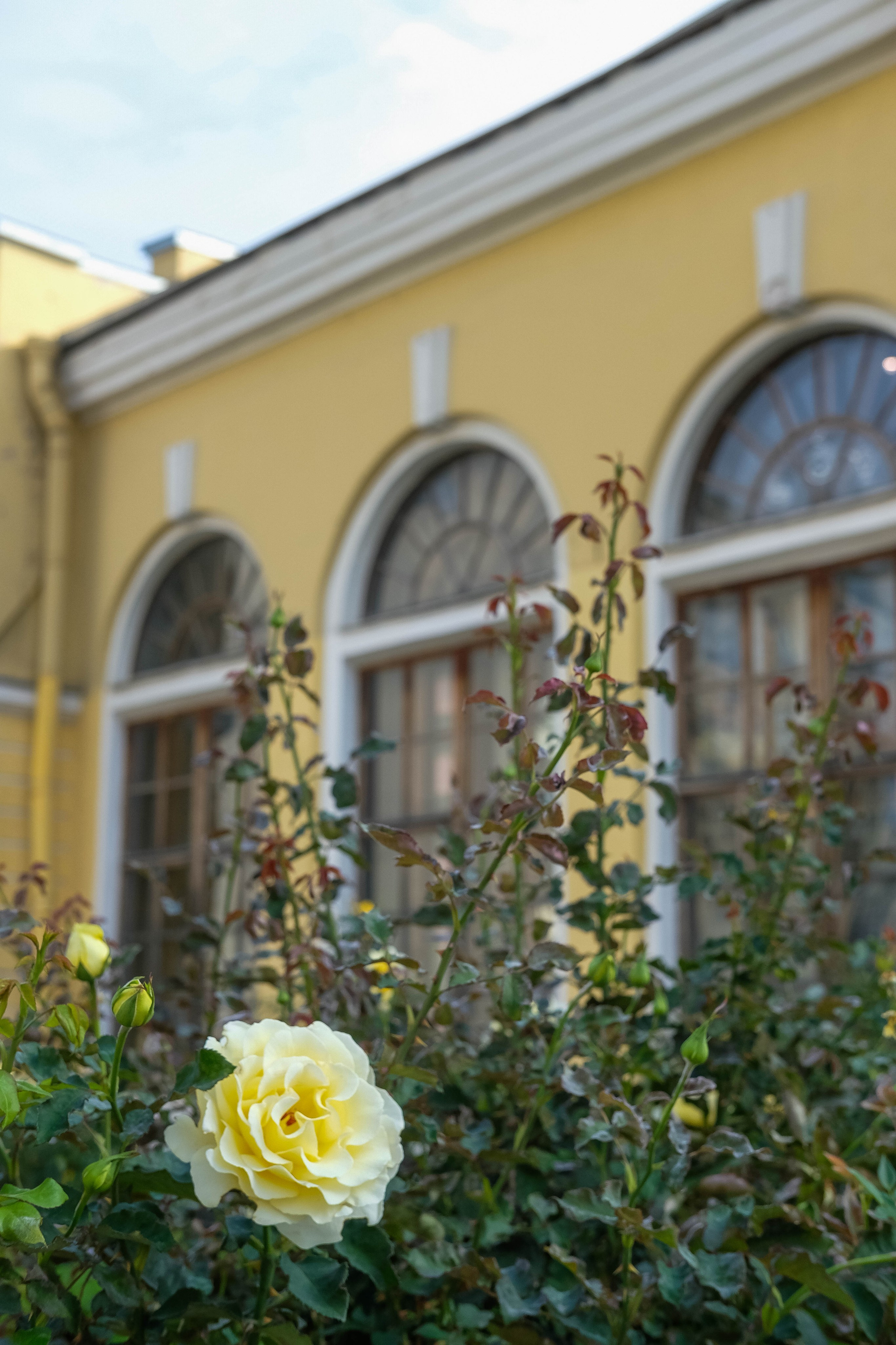 Питер 2024. Свадебный и семейный фотограф в Новосибирске, Санкт-Петербурге, Москве